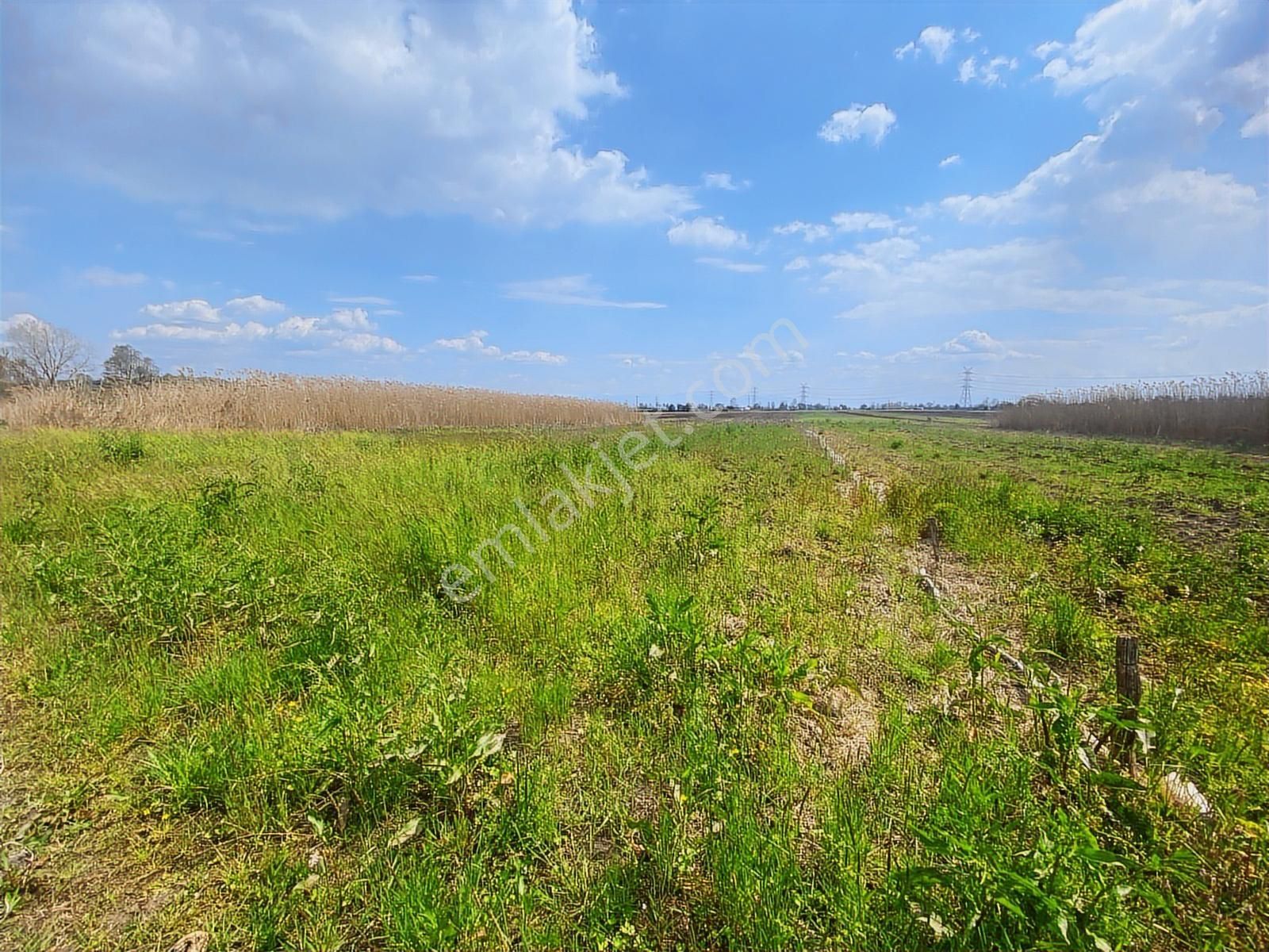 Karasu Yoluna Yakın Cazip Fiyatlı Kaçırılmayacak Fırsat Tarla - Görsel 7