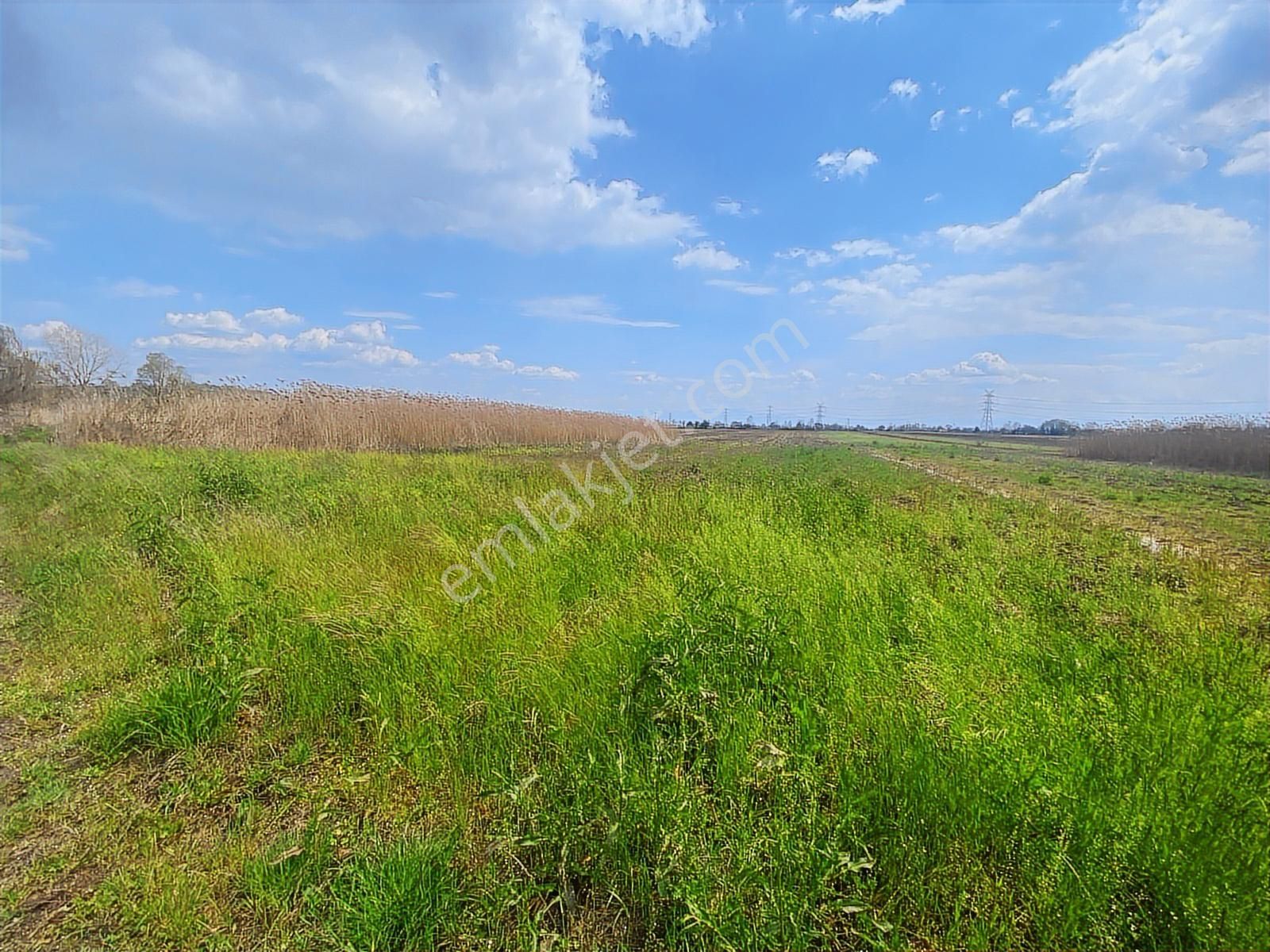 Karasu Yoluna Yakın Cazip Fiyatlı Kaçırılmayacak Fırsat Tarla - Görsel 9