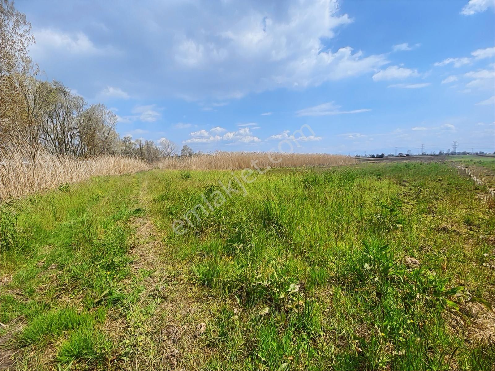 Karasu Yoluna Yakın Cazip Fiyatlı Kaçırılmayacak Fırsat Tarla - Görsel 13