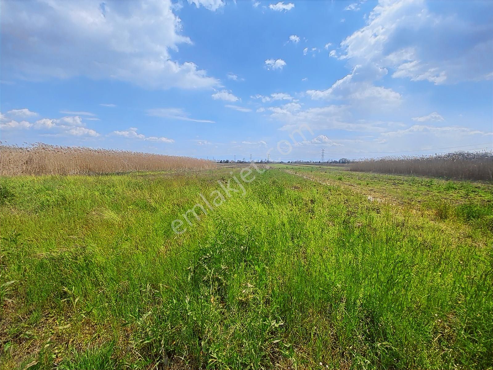 Karasu Yoluna Yakın Cazip Fiyatlı Kaçırılmayacak Fırsat Tarla - Görsel 3