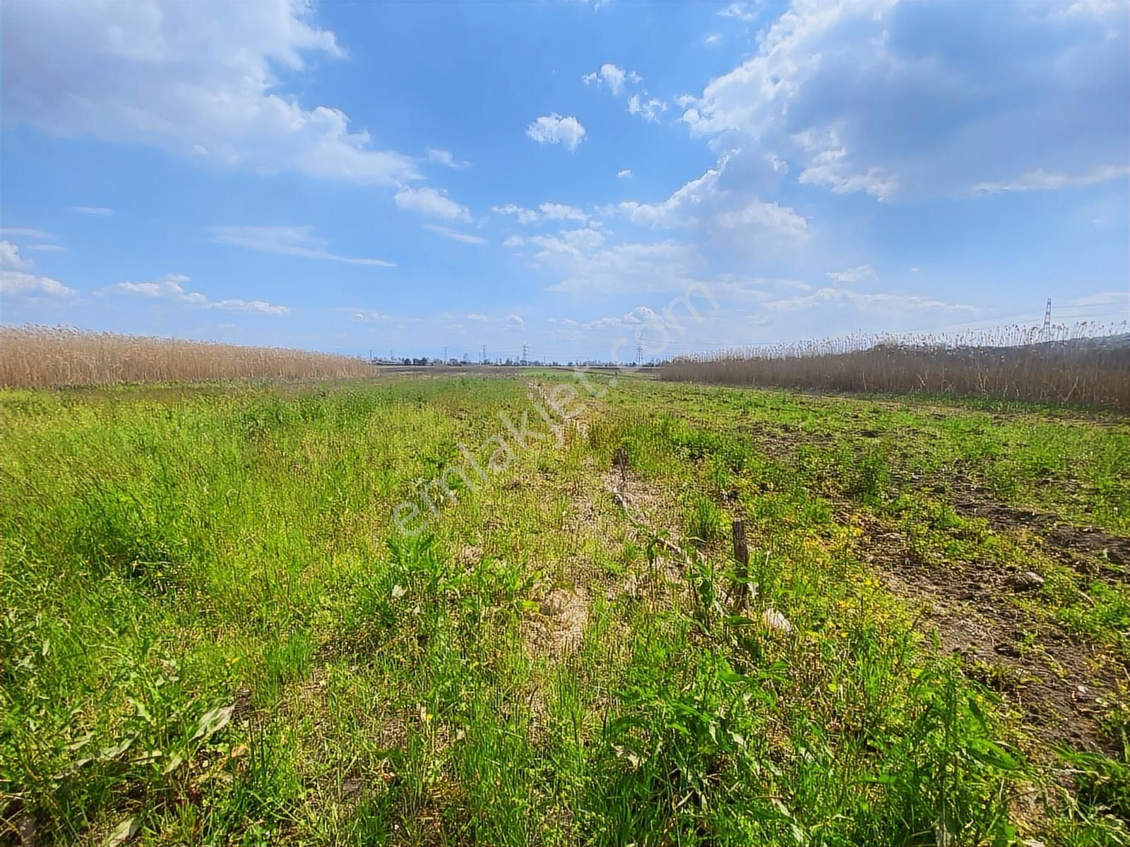 Karasu Yoluna Yakın Cazip Fiyatlı Kaçırılmayacak Fırsat Tarla - Görsel 5
