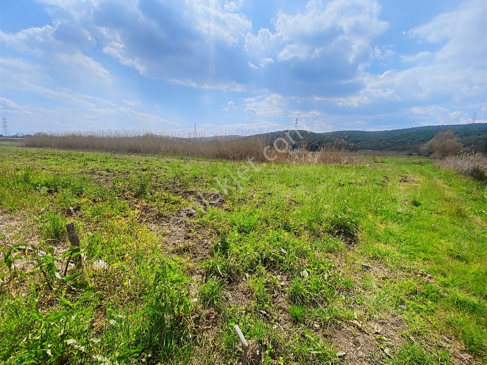 Karasu Yoluna Yakın Cazip Fiyatlı Kaçırılmayacak Fırsat Tarla - Görsel 10