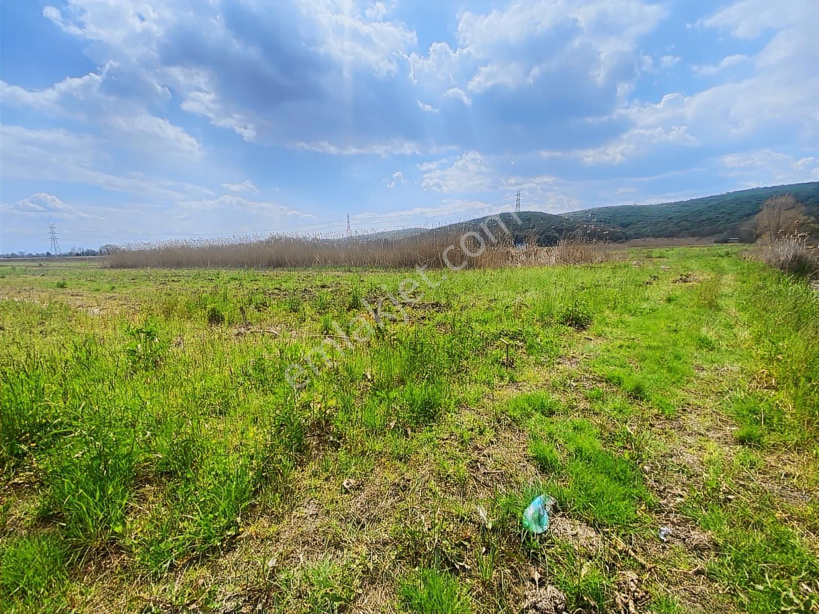 Karasu Yoluna Yakın Cazip Fiyatlı Kaçırılmayacak Fırsat Tarla - Görsel 6