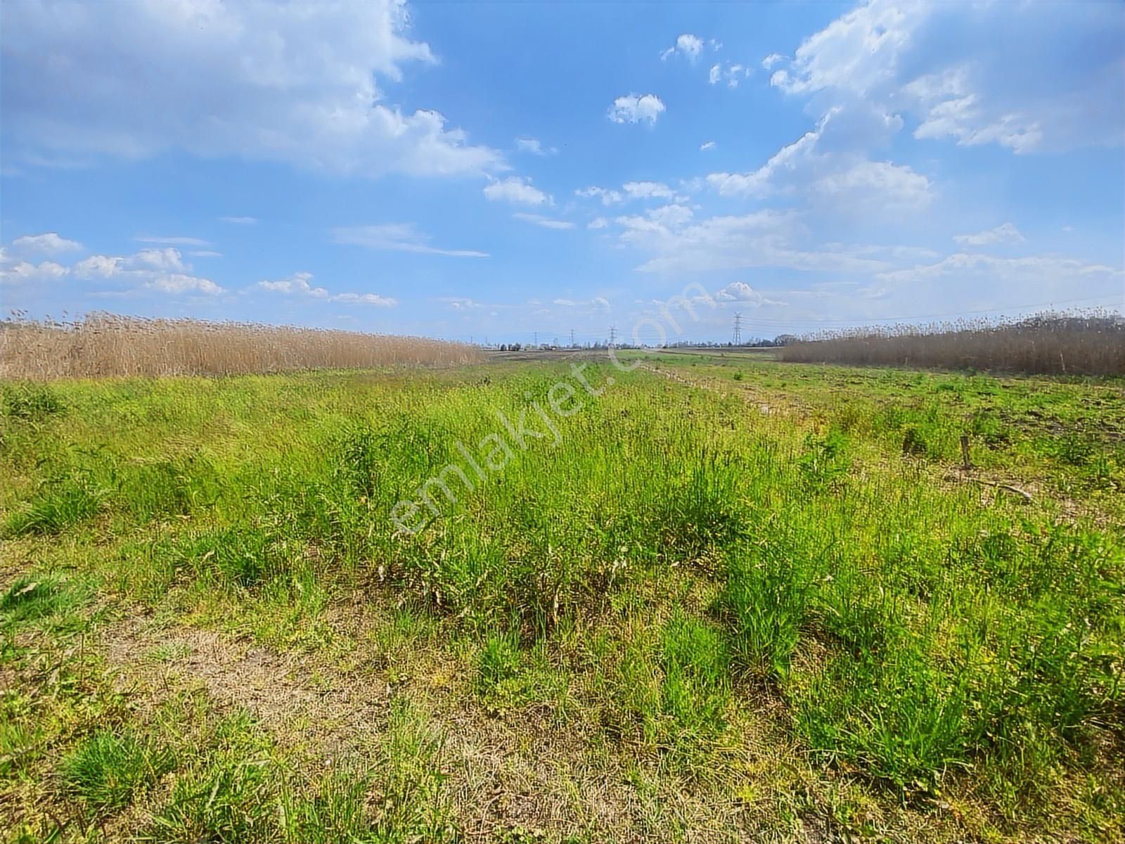 Karasu Yoluna Yakın Cazip Fiyatlı Kaçırılmayacak Fırsat Tarla - Görsel 11