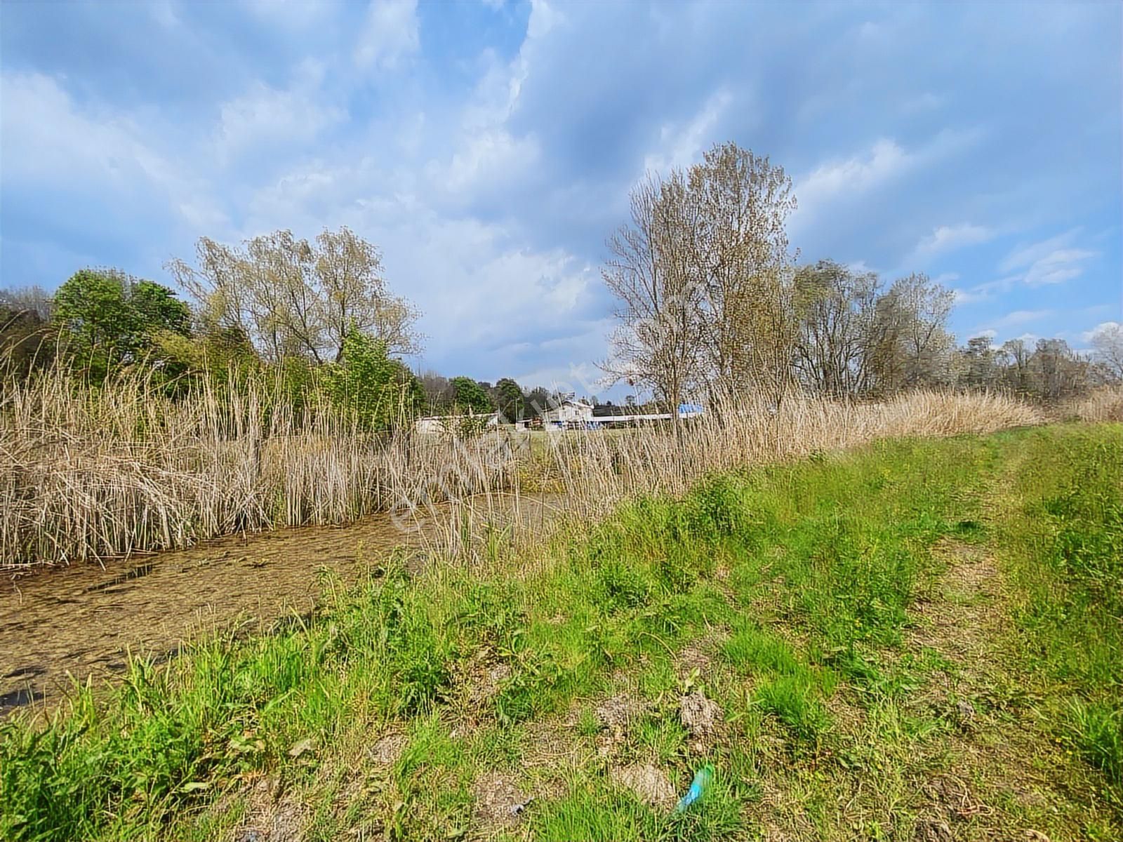 Karasu Yoluna Yakın Cazip Fiyatlı Kaçırılmayacak Fırsat Tarla - Görsel 12