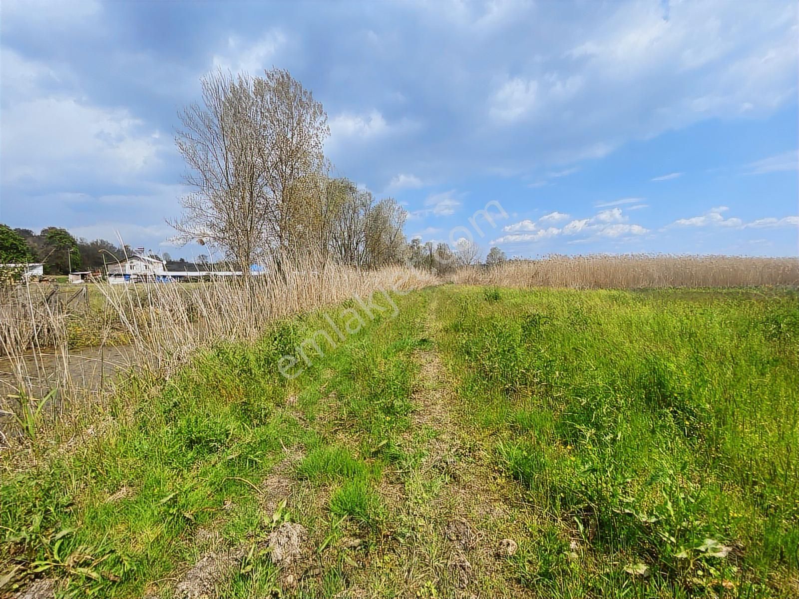Karasu Yoluna Yakın Cazip Fiyatlı Kaçırılmayacak Fırsat Tarla - Görsel 14