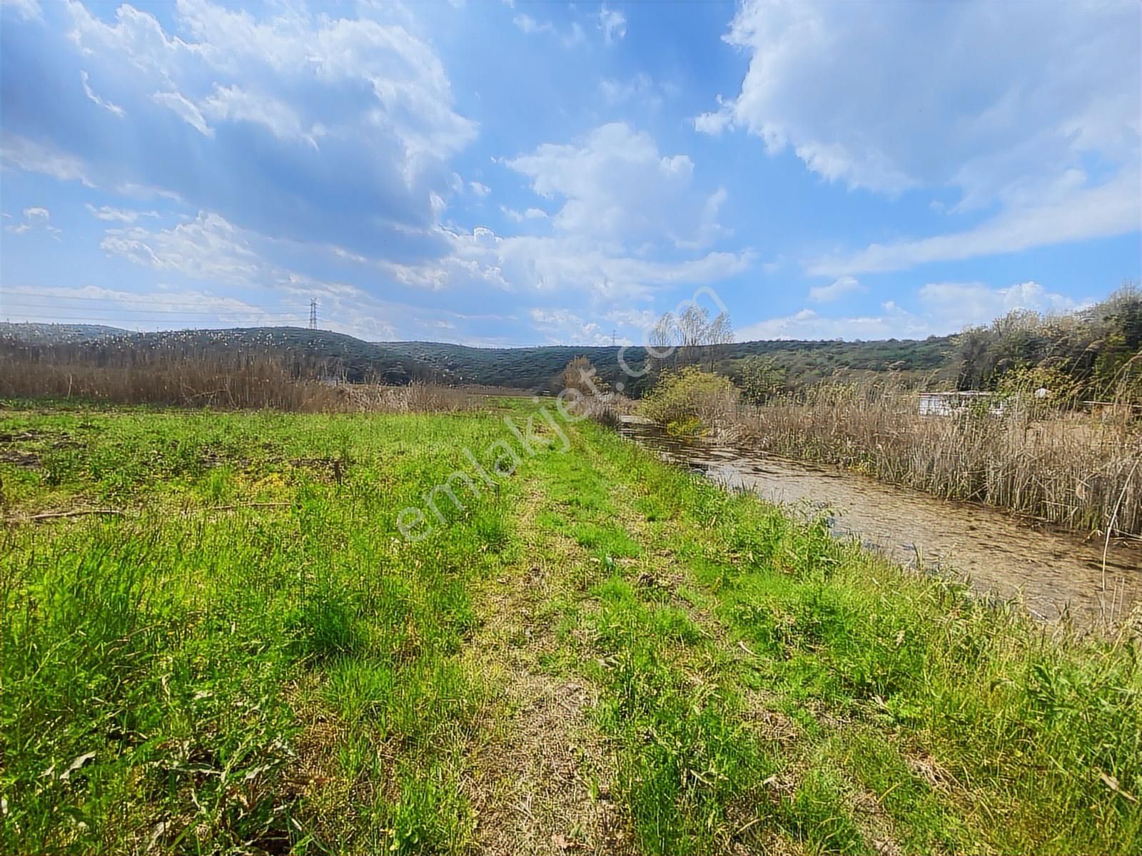 Karasu Yoluna Yakın Cazip Fiyatlı Kaçırılmayacak Fırsat Tarla - Görsel 4