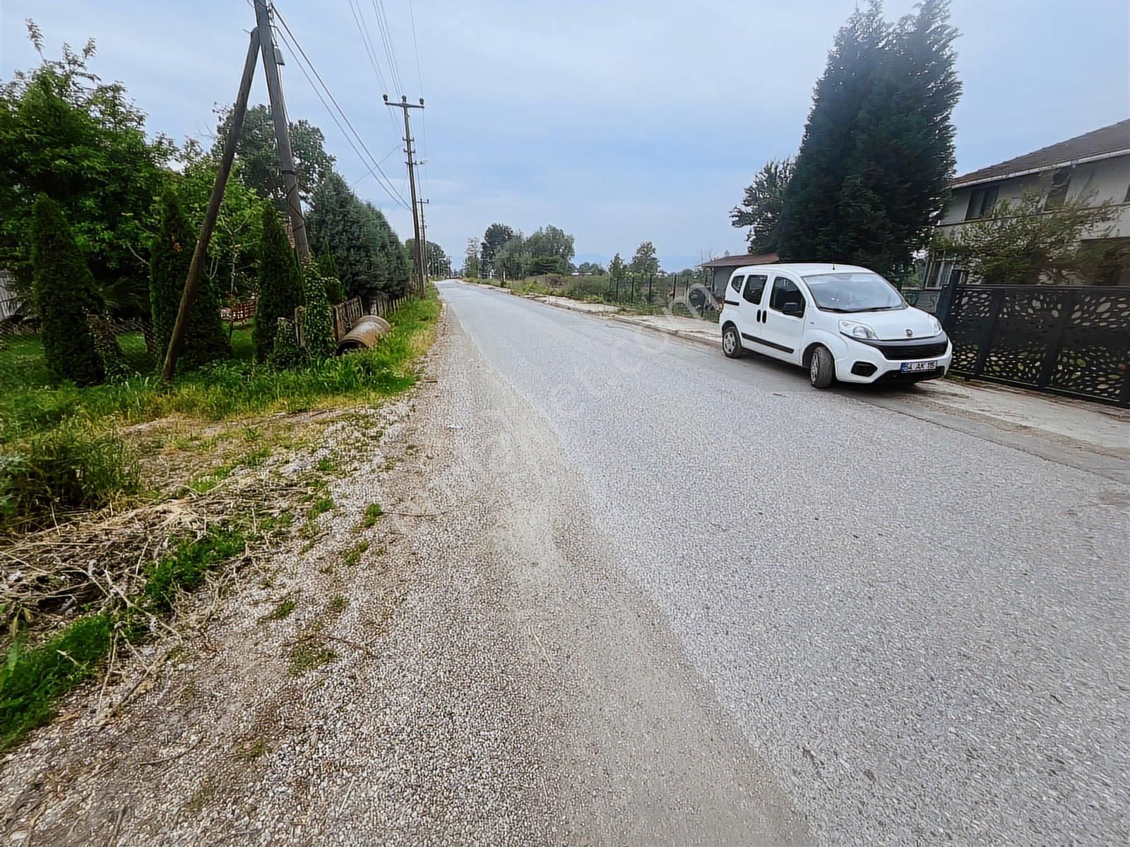 Doğancılarda Fırsat Tarla ! 1.560 M2 Yol Kenarı ! - Görsel 3