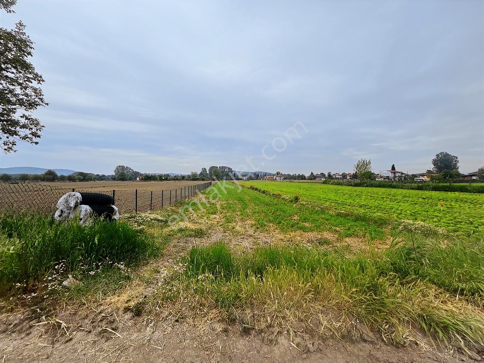 Doğancılarda Fırsat Tarla ! 1.560 M2 Yol Kenarı ! - Görsel 2