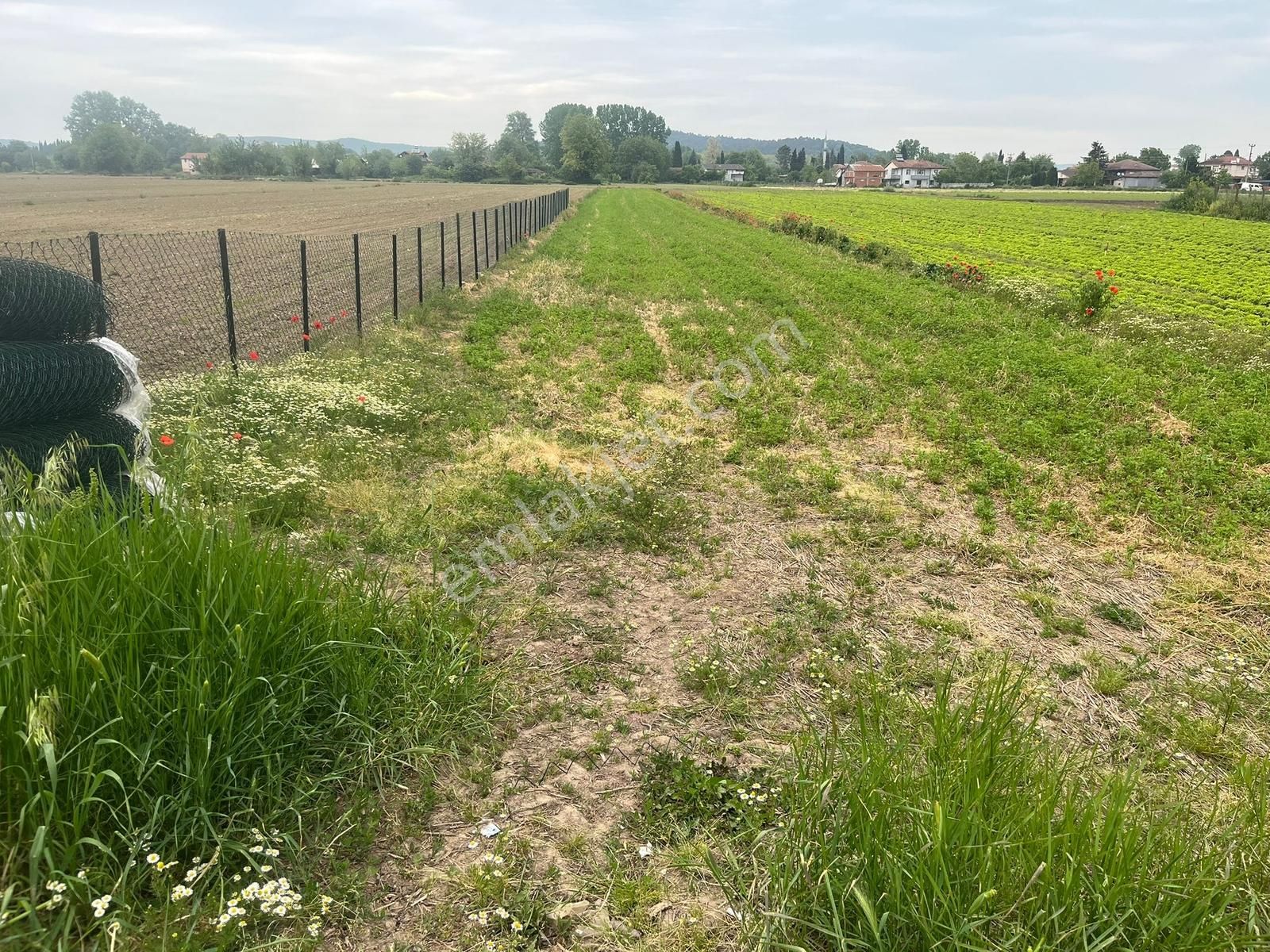 Doğancılarda Fırsat Tarla ! 1.560 M2 Yol Kenarı ! - Görsel 13