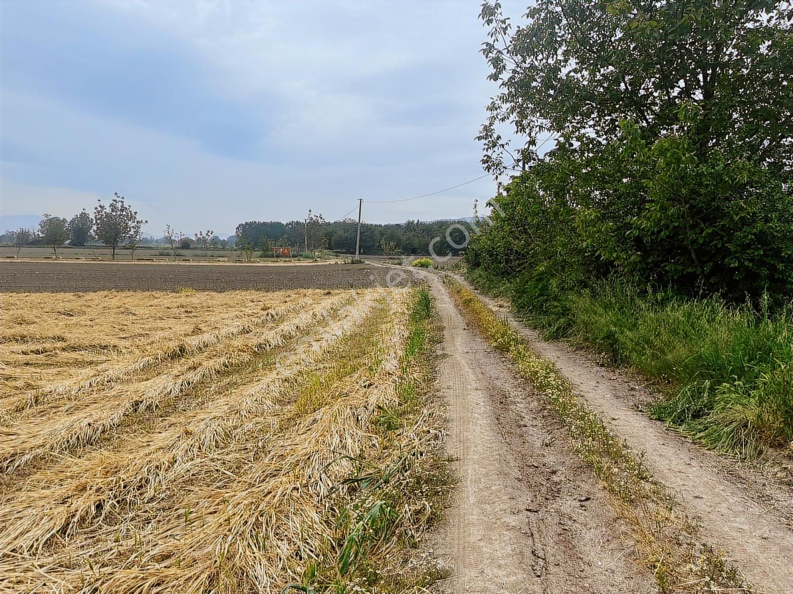 Doğancılarda Fırsat Tarla ! 1.560 M2 Yol Kenarı ! - Görsel 20