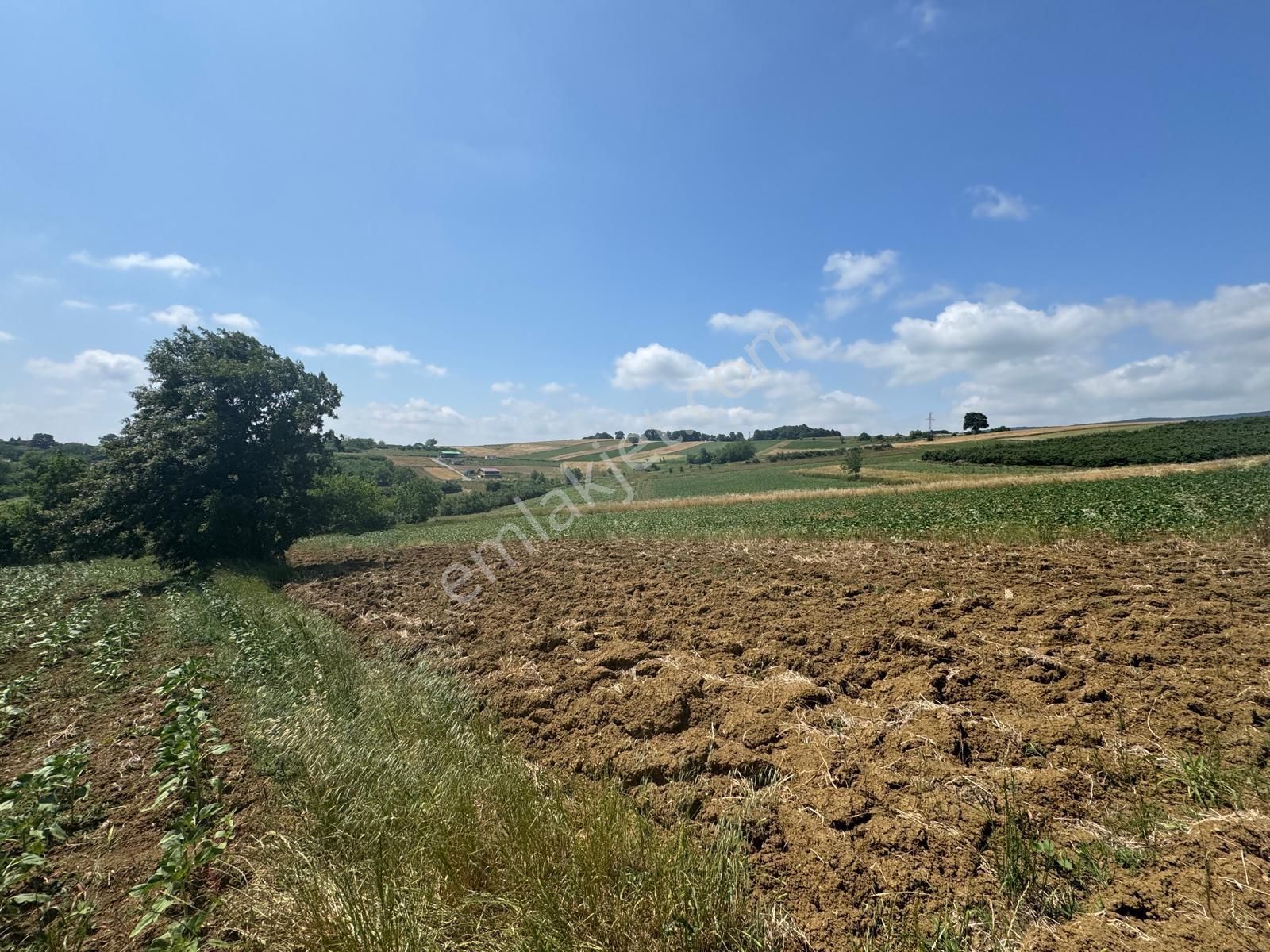 İmamlarda Yatırıma Uygun 1.330 M2 Satılık Havadar Konum Tarla - Görsel 5