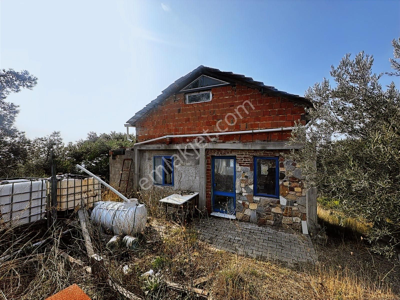 Seferihisar Turabiyem Satılık Zeytinlik Arazi - Görsel 15