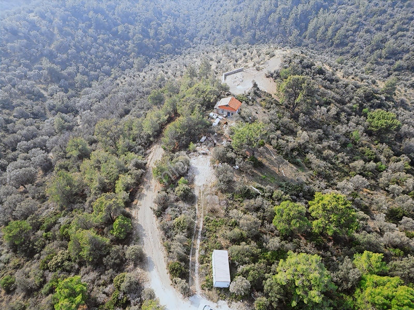Seferihisar Turabiyem Satılık Zeytinlik Arazi - Görsel 16