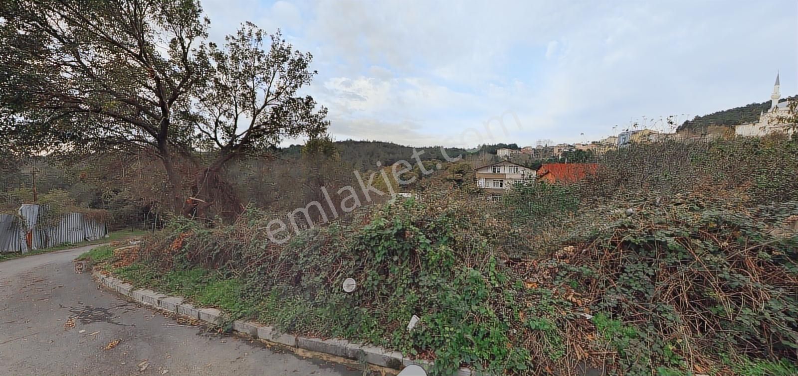 Fatih Mahallesi'nde Orman Manzaralı, Bitişik İki Müstakil Parsel - Görsel 5