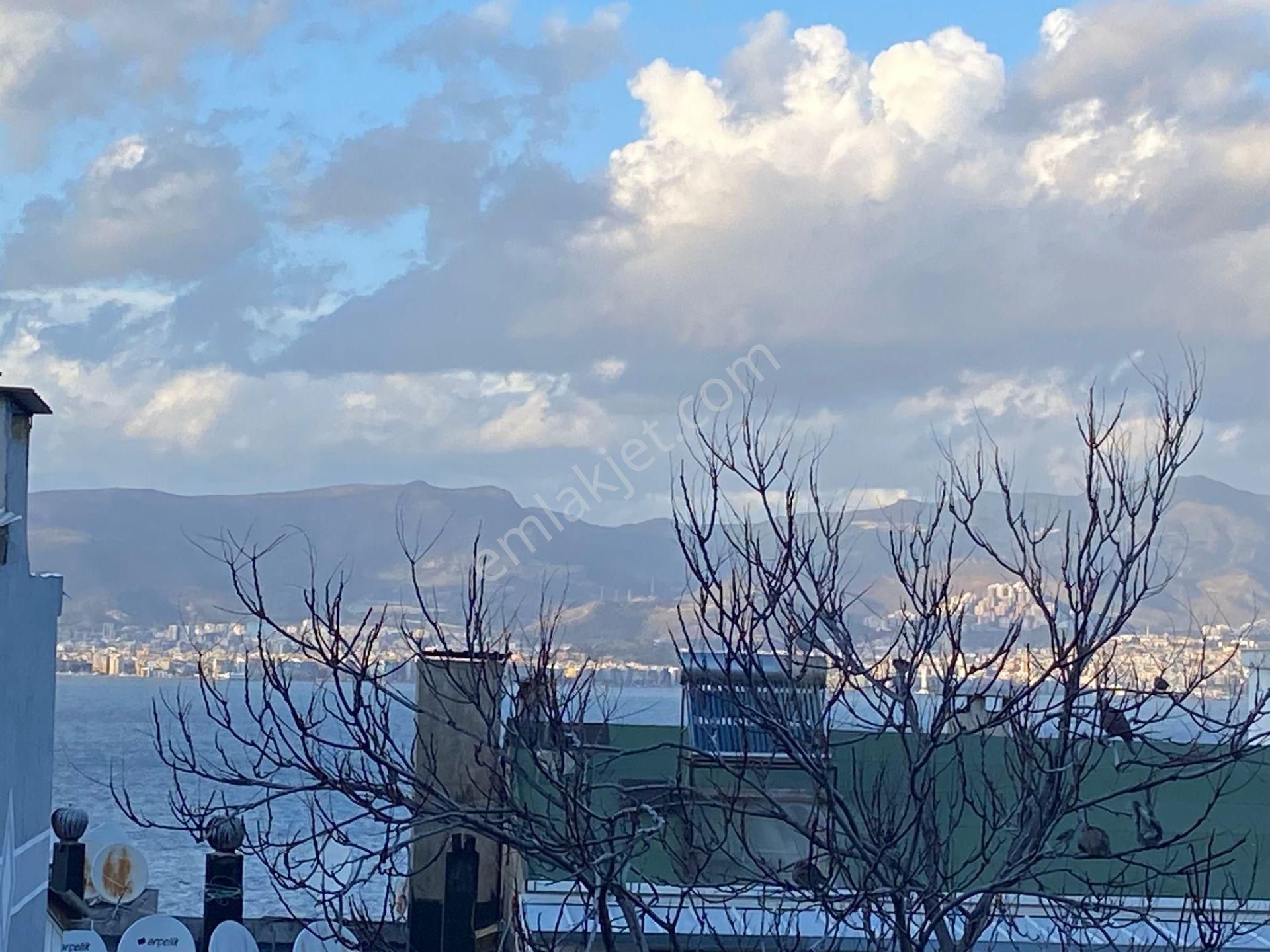 Halirifat Cadede Denizmanzaralı Kuze Güney Cepha