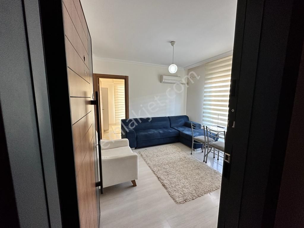 Seyrek'te 1+1 Eşyalı Kiralık Temiz Daire - Görsel 2