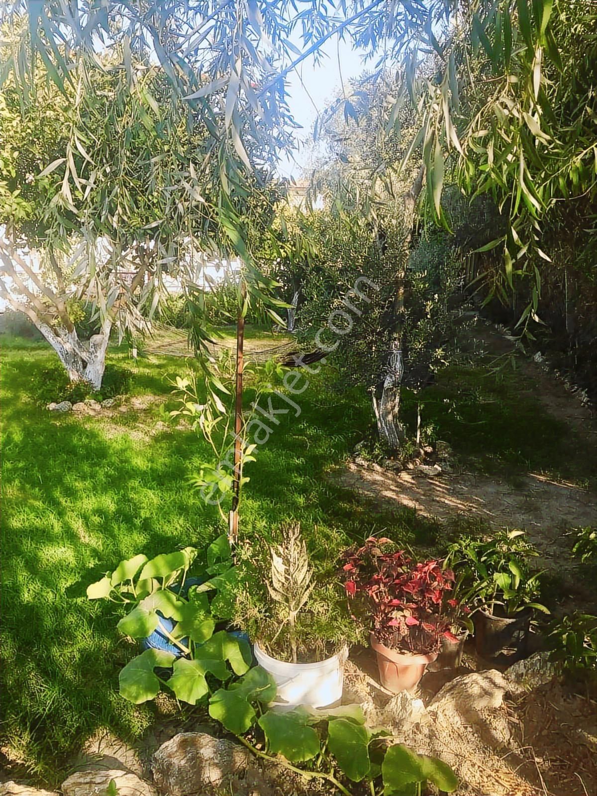 Söke Yenicami Müstakil Bahçeli Dubleks - Görsel 6