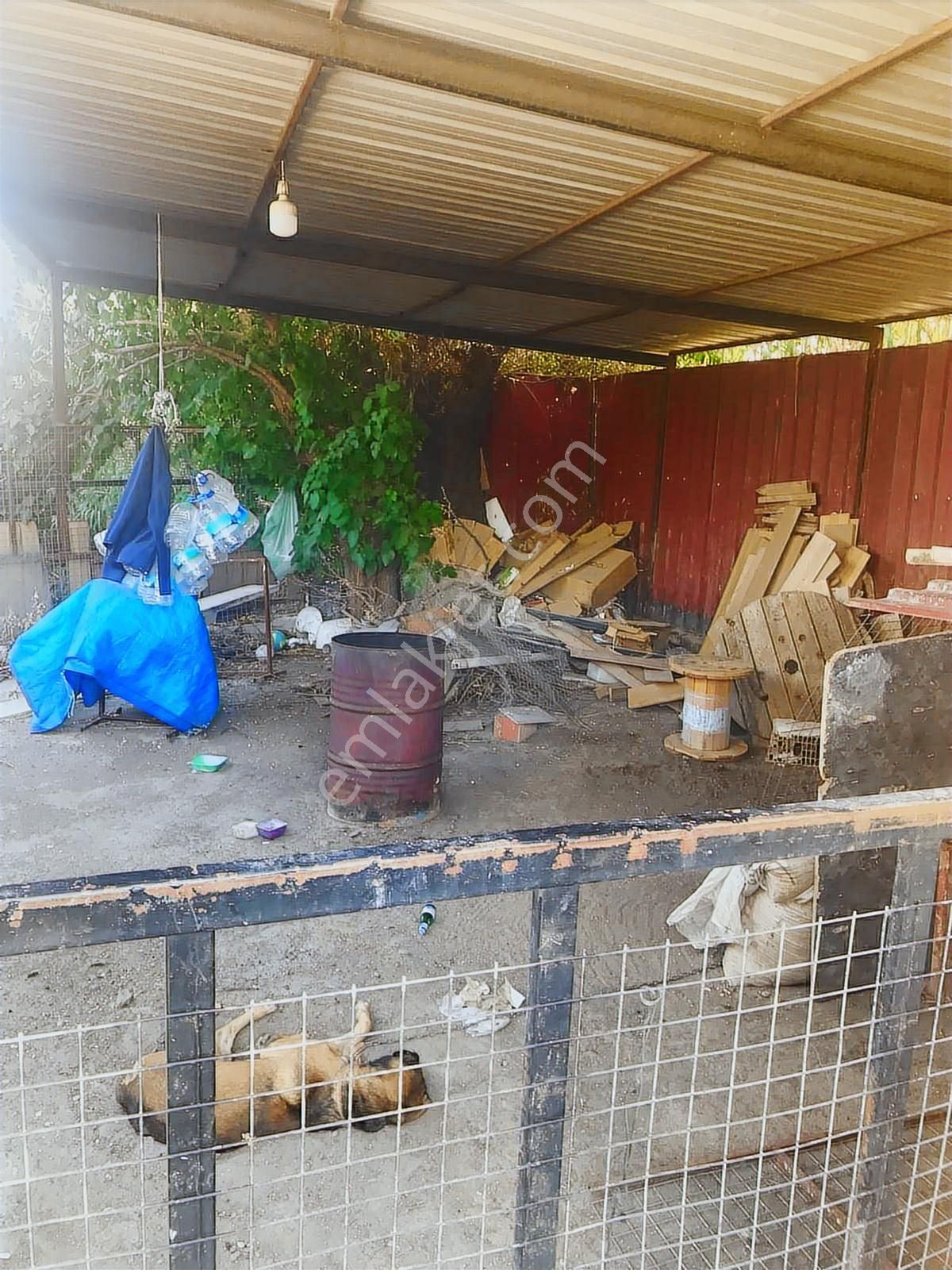 Söke Yenicami Müstakil Bahçeli Dubleks - Görsel 12