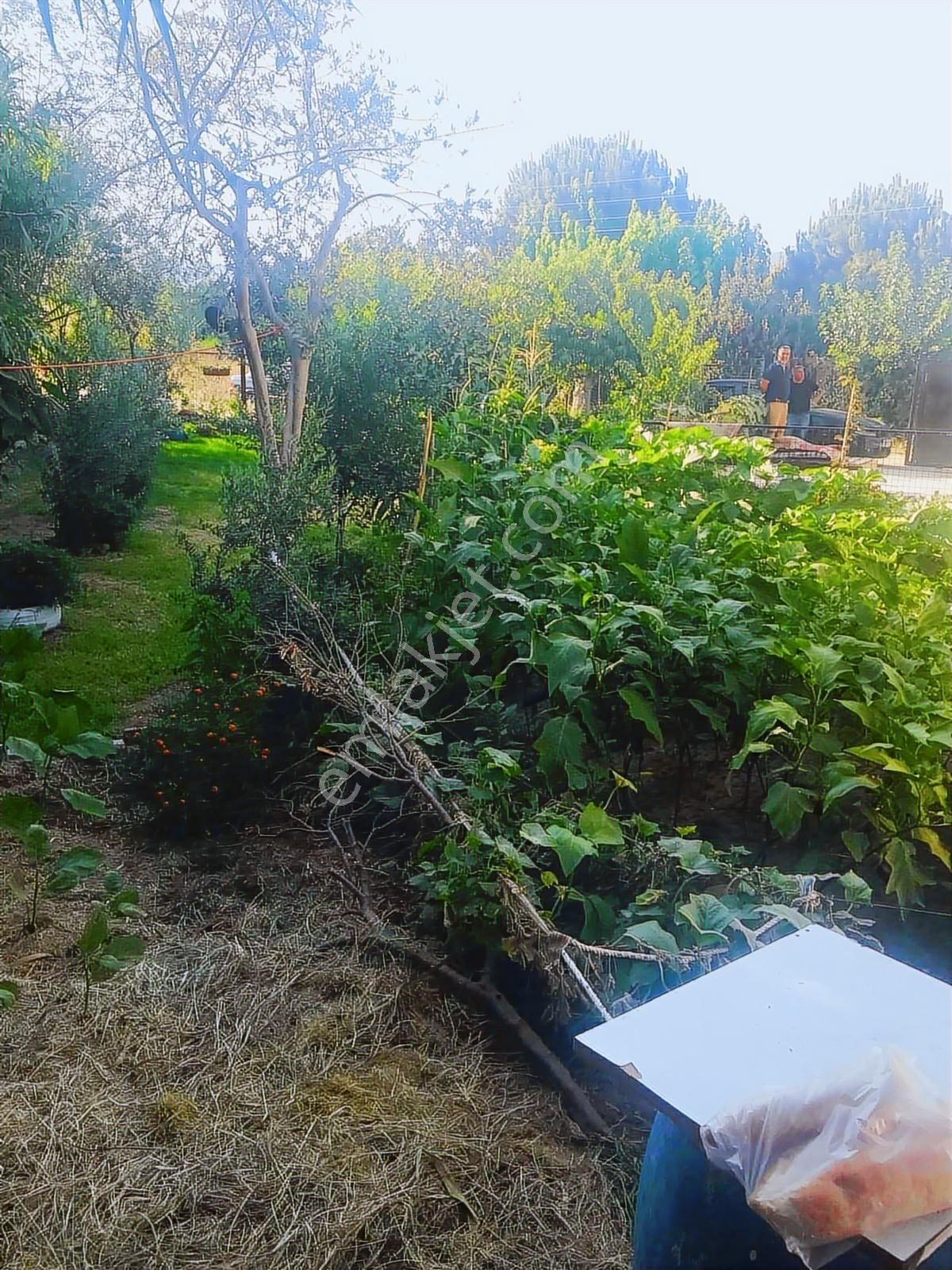 Söke Yenicami Müstakil Bahçeli Dubleks - Görsel 20