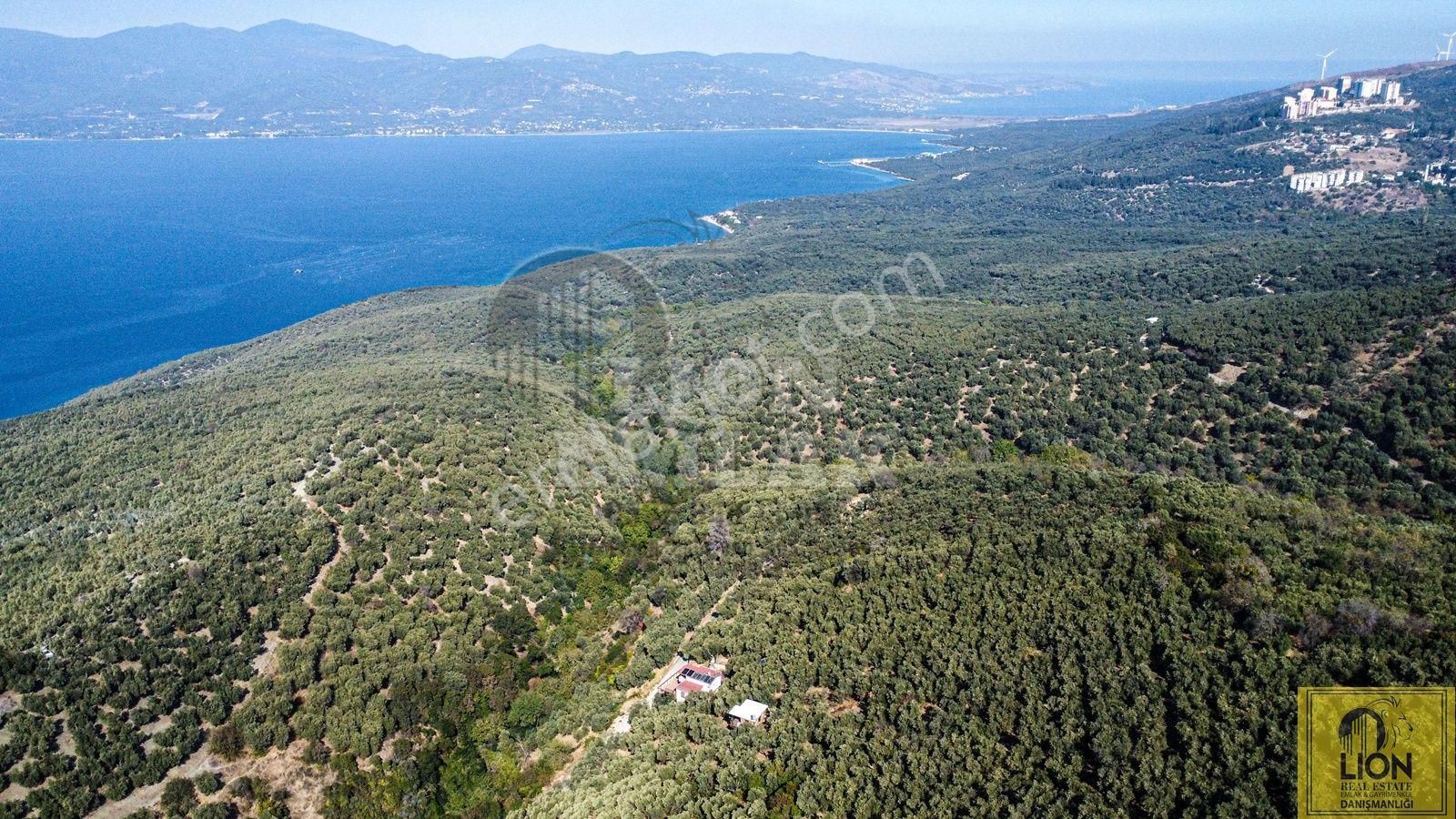 🟨⬛lıon Emlak'tan Bandırma Edincik'te Satılık 5672 M² Deniz Manzaralı Zeytinlik ⬛🟨 - Görsel 5