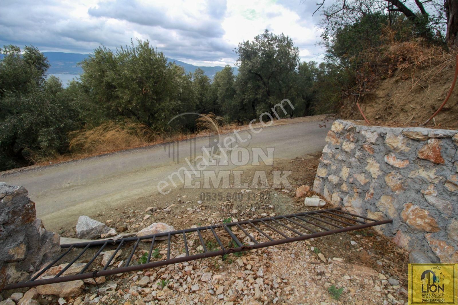 🟨⬛lıon Emlak'tan Bandırma Edincik'te Satılık 5672 M² Deniz Manzaralı Zeytinlik ⬛🟨 - Görsel 14