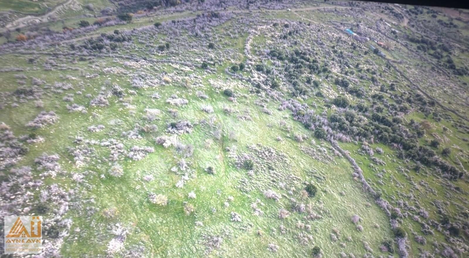 Ayn&ayn Gayrimenkul'den Tiyelti Mah Doğa Manzaralı Satılık Tarla - Görsel 15