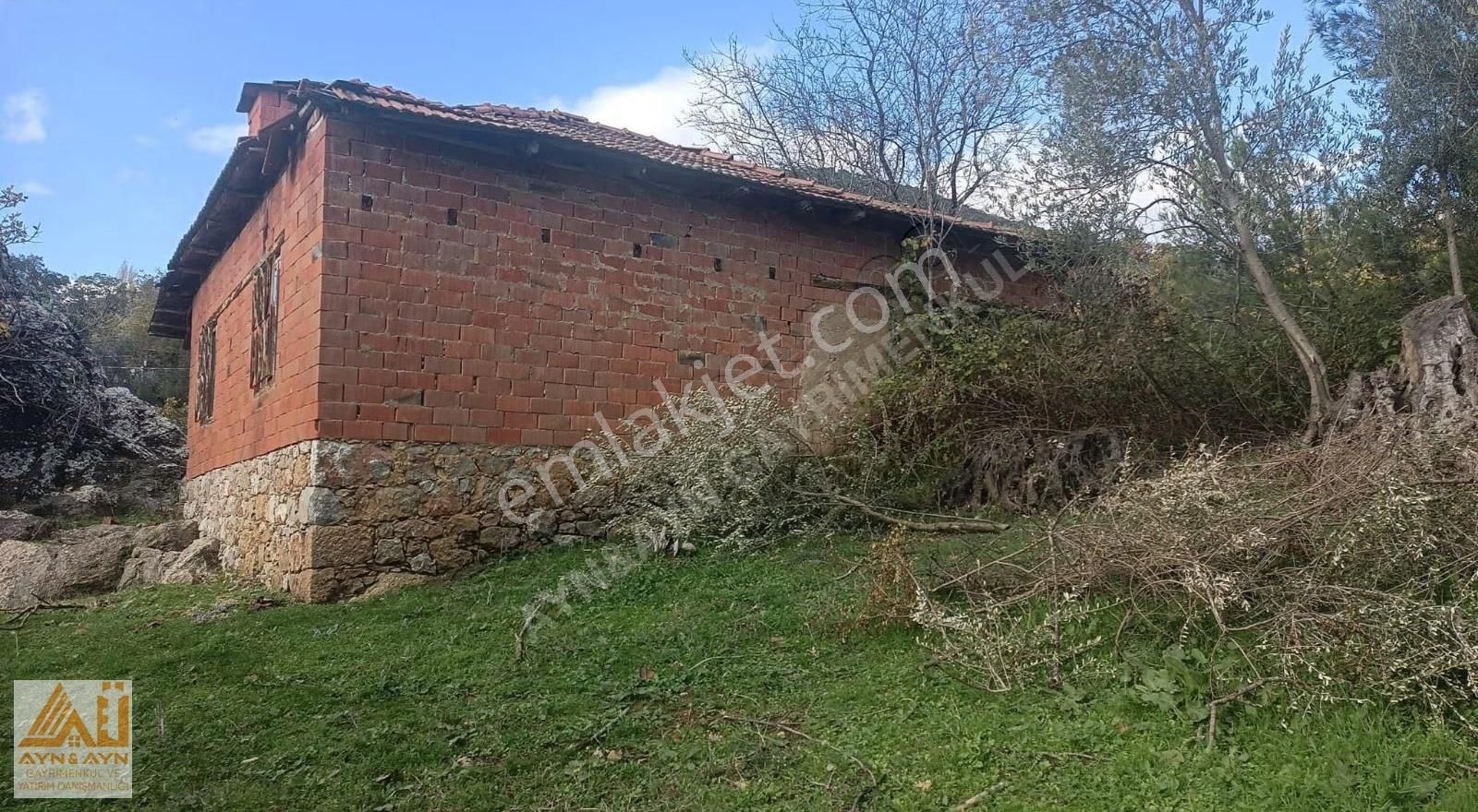 Ayn&ayn Gayrimenkul'den İçinde Evi Olan Tek Katlı Zeytinlik - Görsel 4