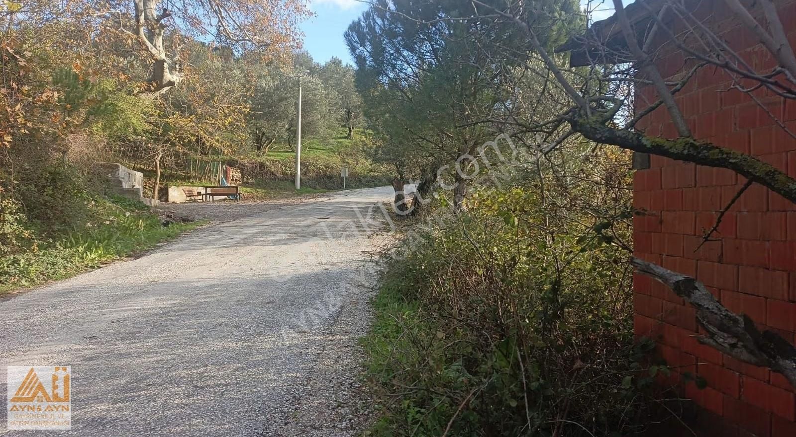 Ayn&ayn Gayrimenkul'den İçinde Evi Olan Tek Katlı Zeytinlik - Görsel 15