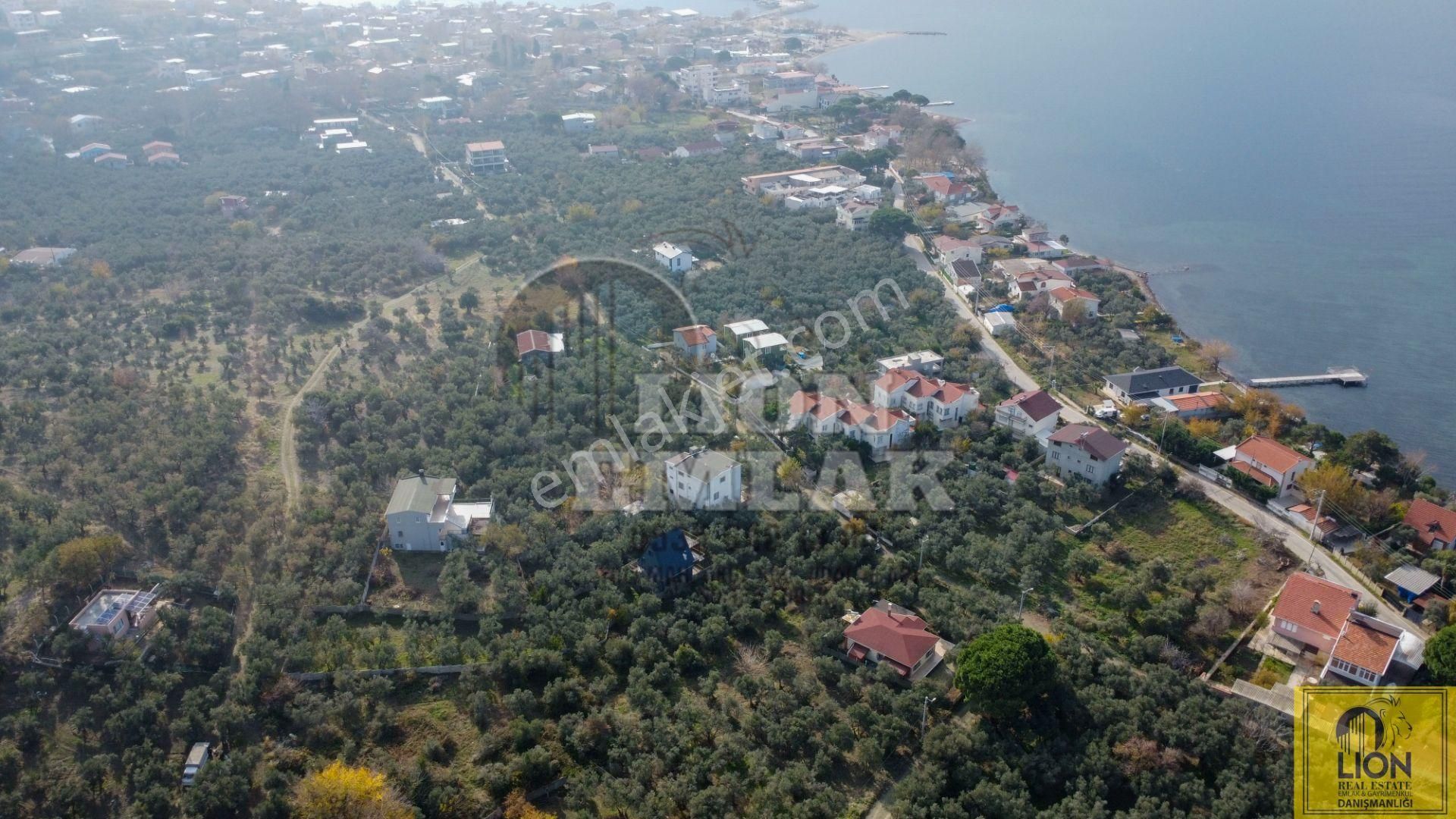 🟨⬛lıon Emlak'tan Erdek Narlı Mahallesinde Liverya Mevkiinde 645 M² Satılık Zeytinlik⬛🟨 - Görsel 15