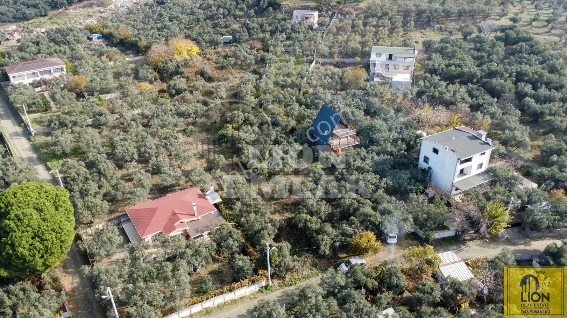 🟨⬛lıon Emlak'tan Erdek Narlı Mahallesinde Liverya Mevkiinde 645 M² Satılık Zeytinlik⬛🟨 - Görsel 3