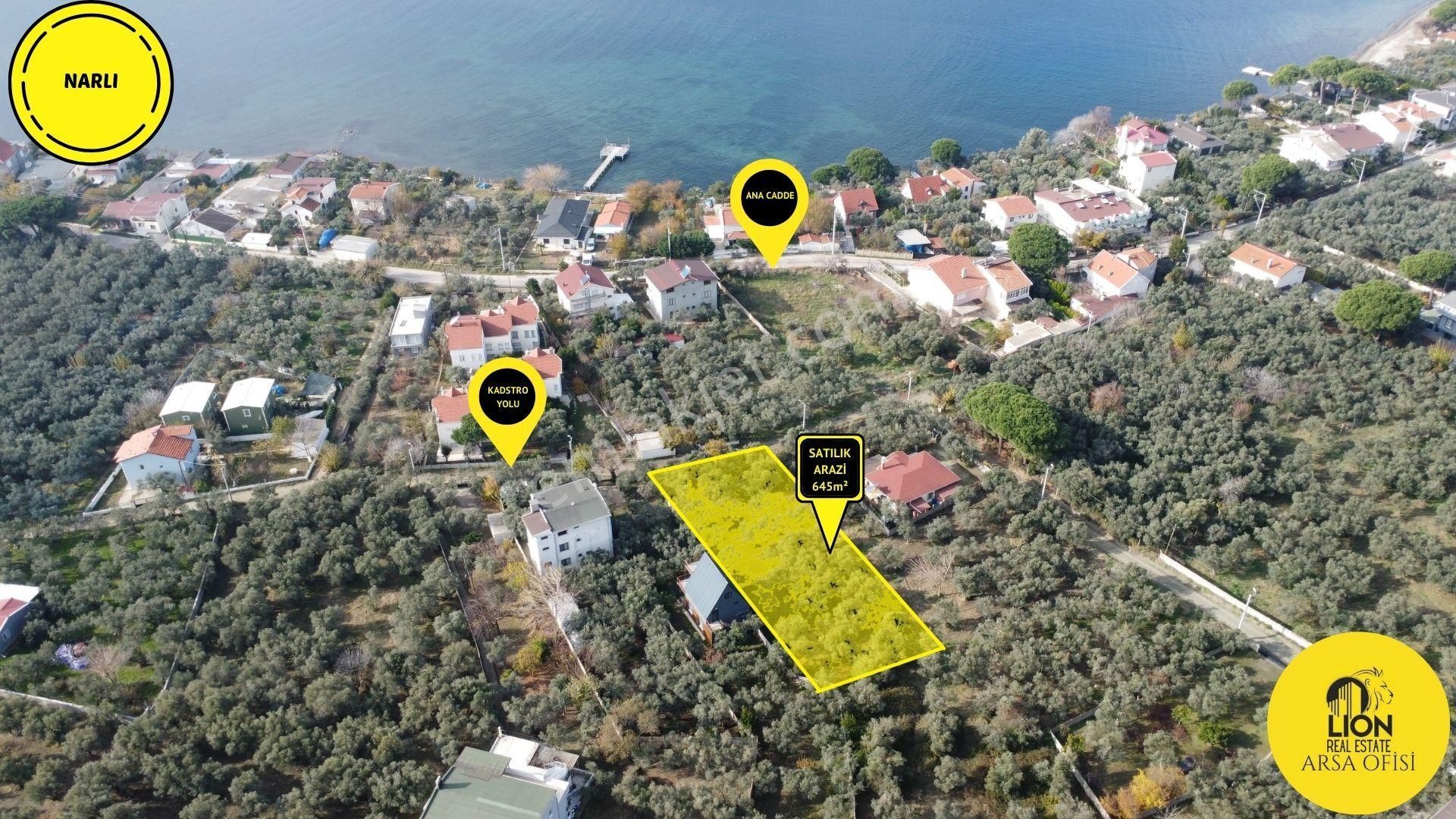 🟨⬛lıon Emlak'tan Erdek Narlı Mahallesinde Liverya Mevkiinde 645 M² Satılık Zeytinlik⬛🟨
