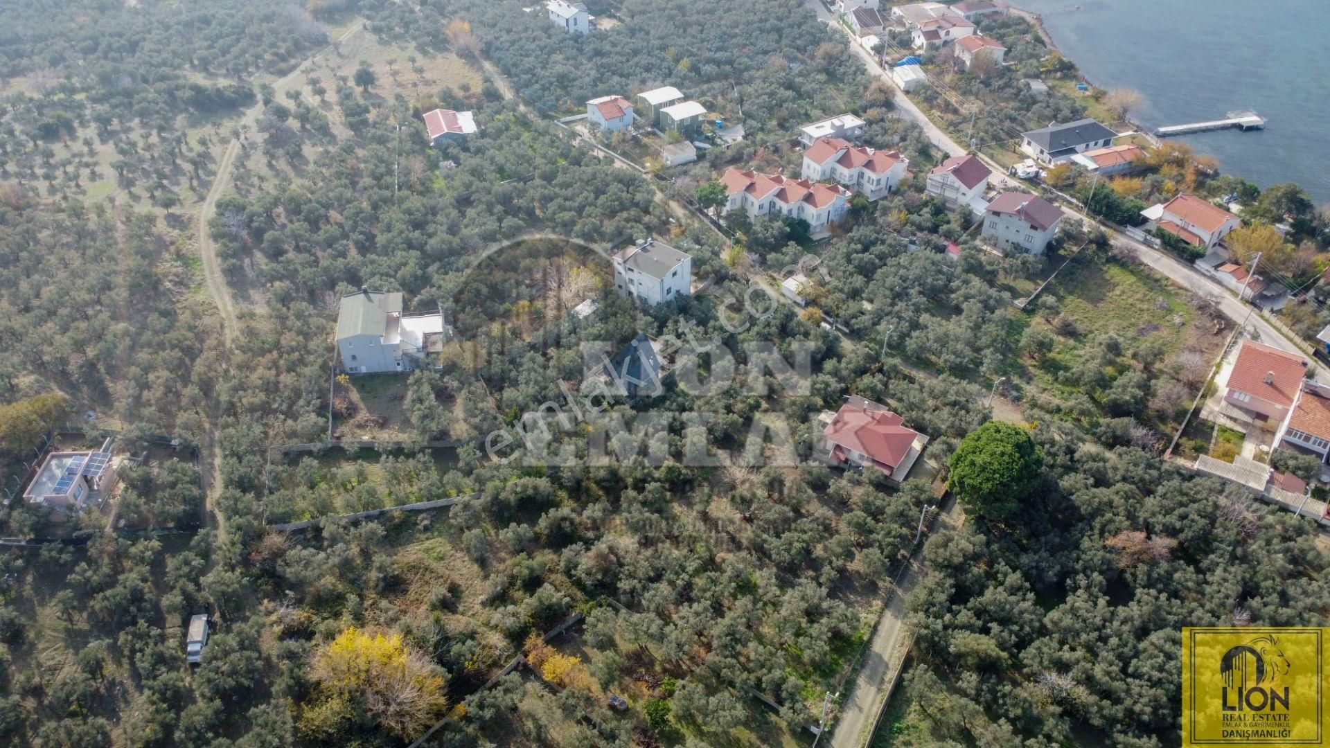 🟨⬛lıon Emlak'tan Erdek Narlı Mahallesinde Liverya Mevkiinde 645 M² Satılık Zeytinlik⬛🟨 - Görsel 14