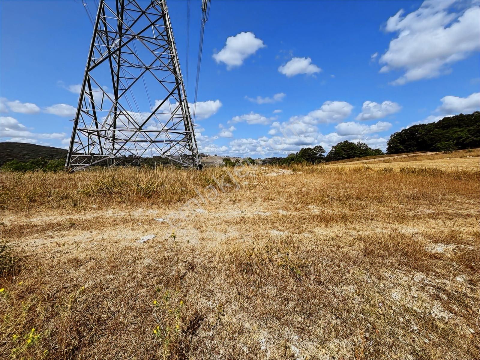 Kandıra'da Asfalta Yakın 1525m² Satılık Arsa - Görsel 3