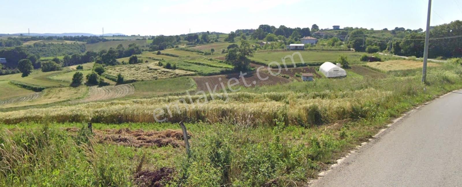 Adapazarı Işıklar'da 5,061 M2 İçinde Serası Olan Hobi Bahçesi - Görsel 4