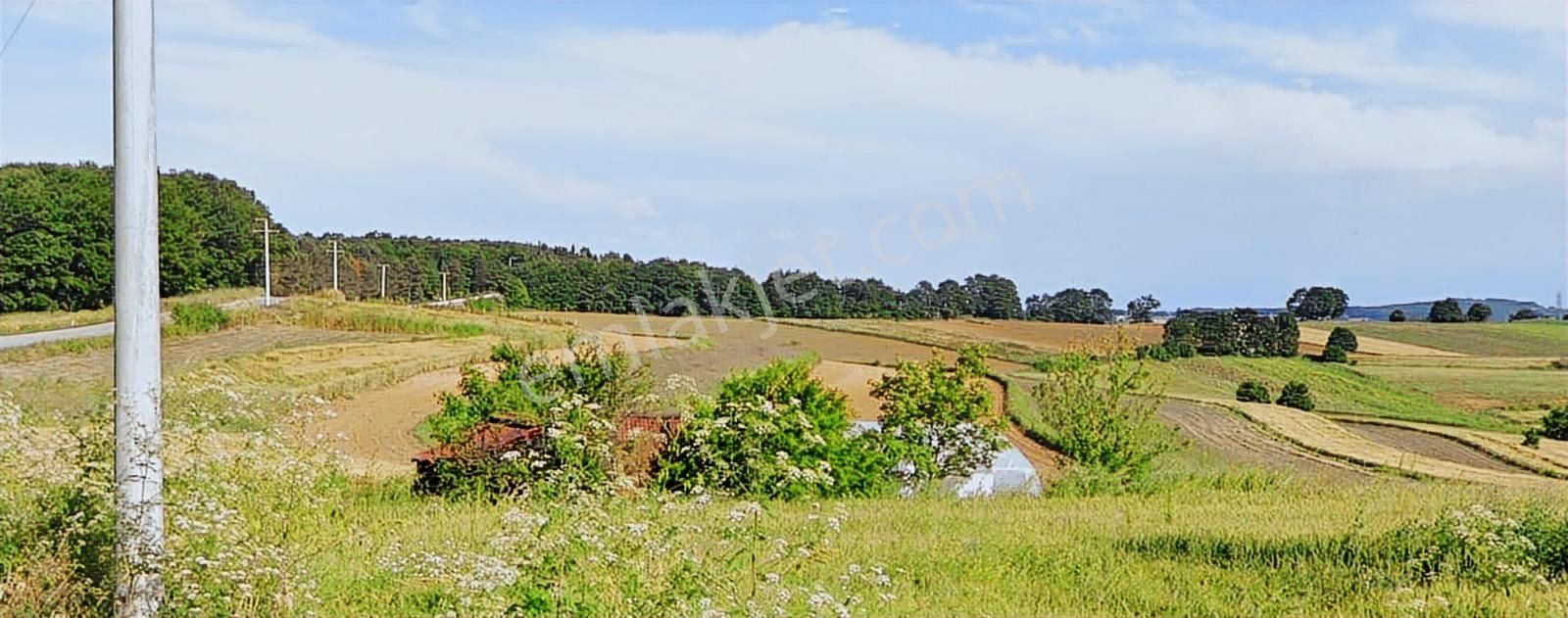 Adapazarı Işıklar'da 5,061 M2 İçinde Serası Olan Hobi Bahçesi - Görsel 12