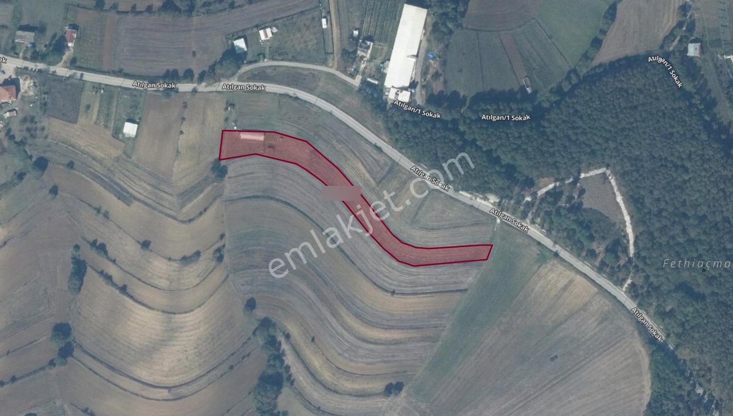 Adapazarı Işıklar'da 5,061 M2 İçinde Serası Olan Hobi Bahçesi - Görsel 8