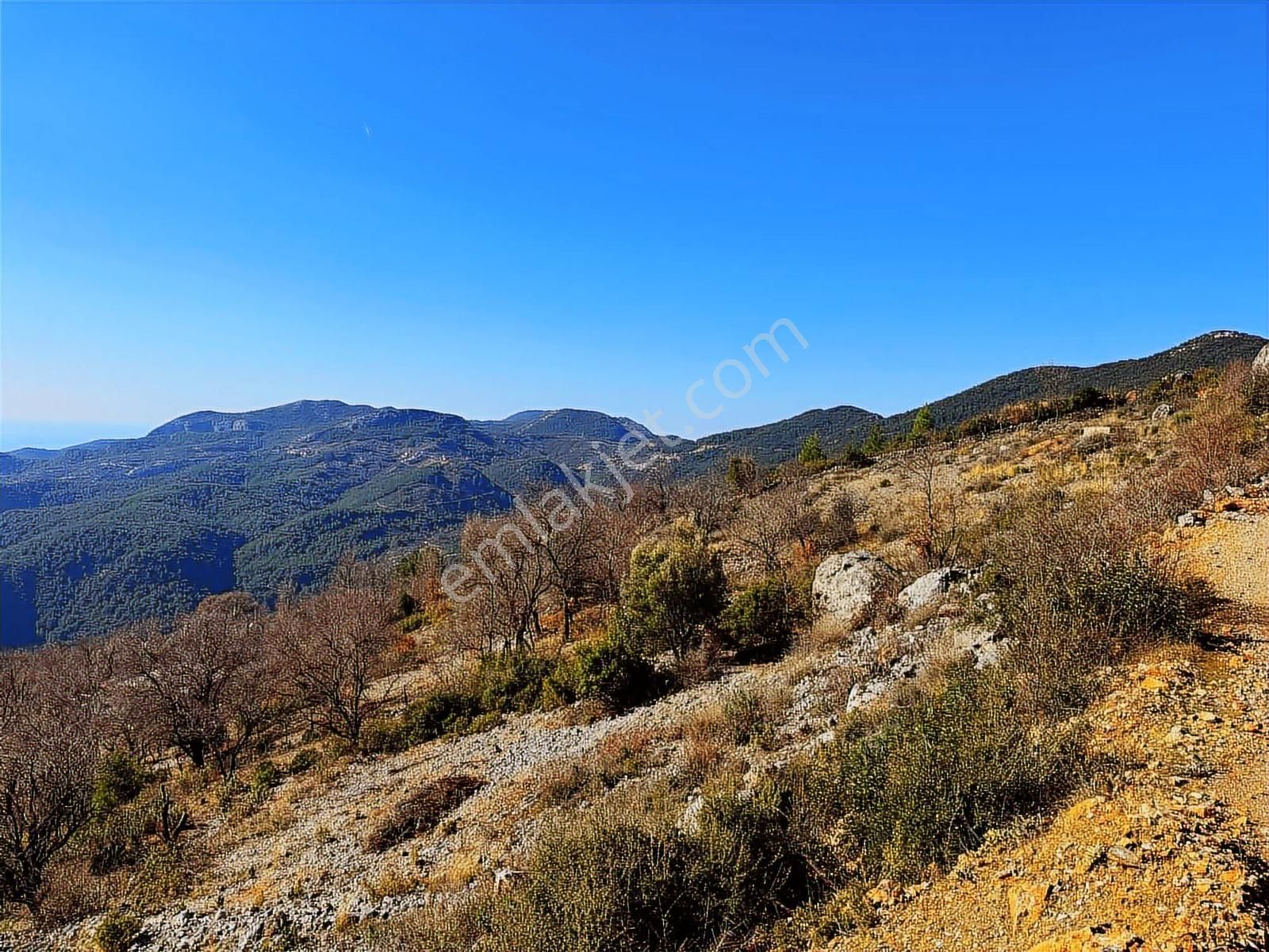 Full Deniz Ve Şehir Manzaralı Yatırımlık Emsalsiz Fırsat Tarla - Görsel 7