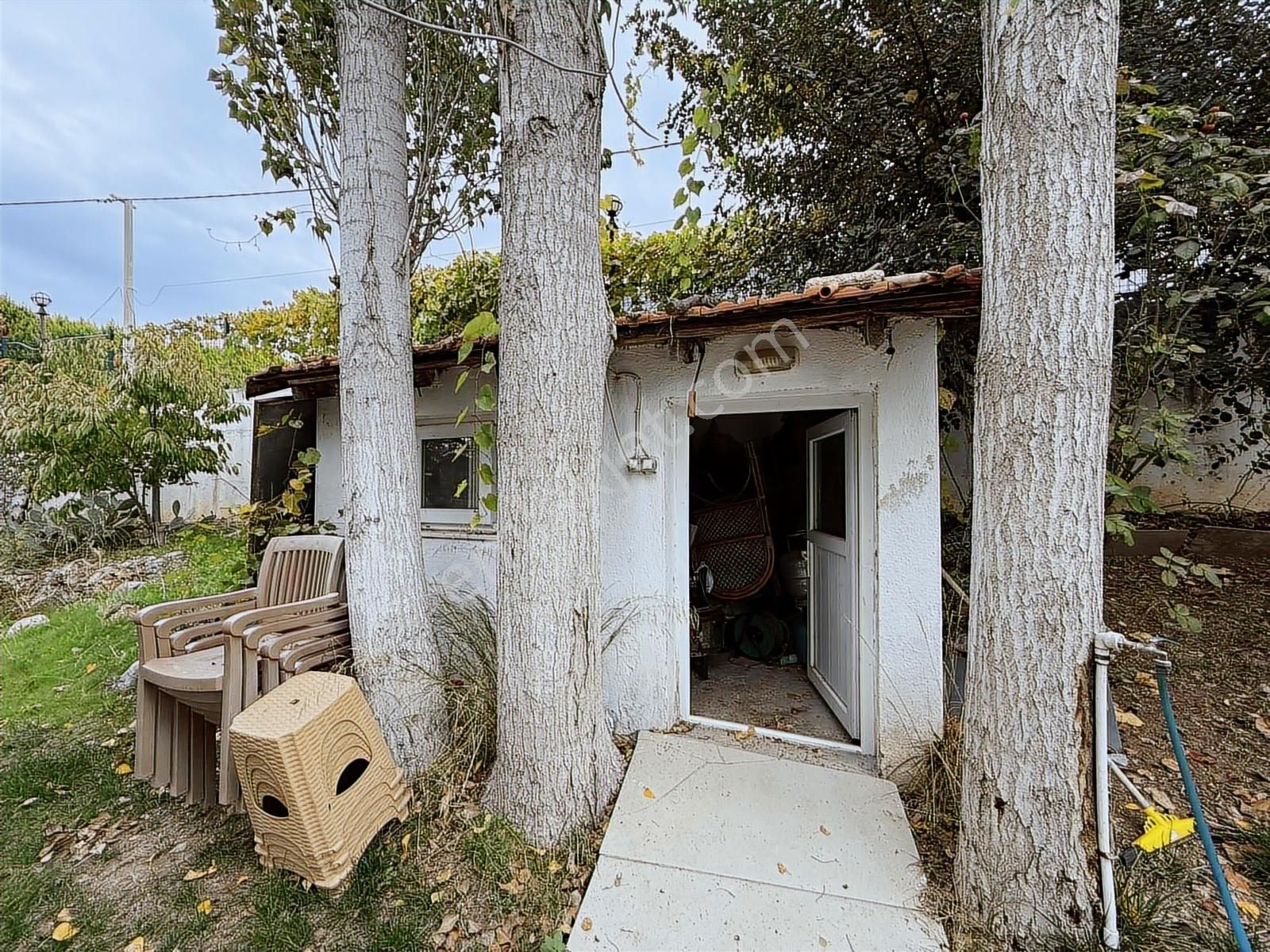 Güler'den Yatırımlık Bahçe - Görsel 5