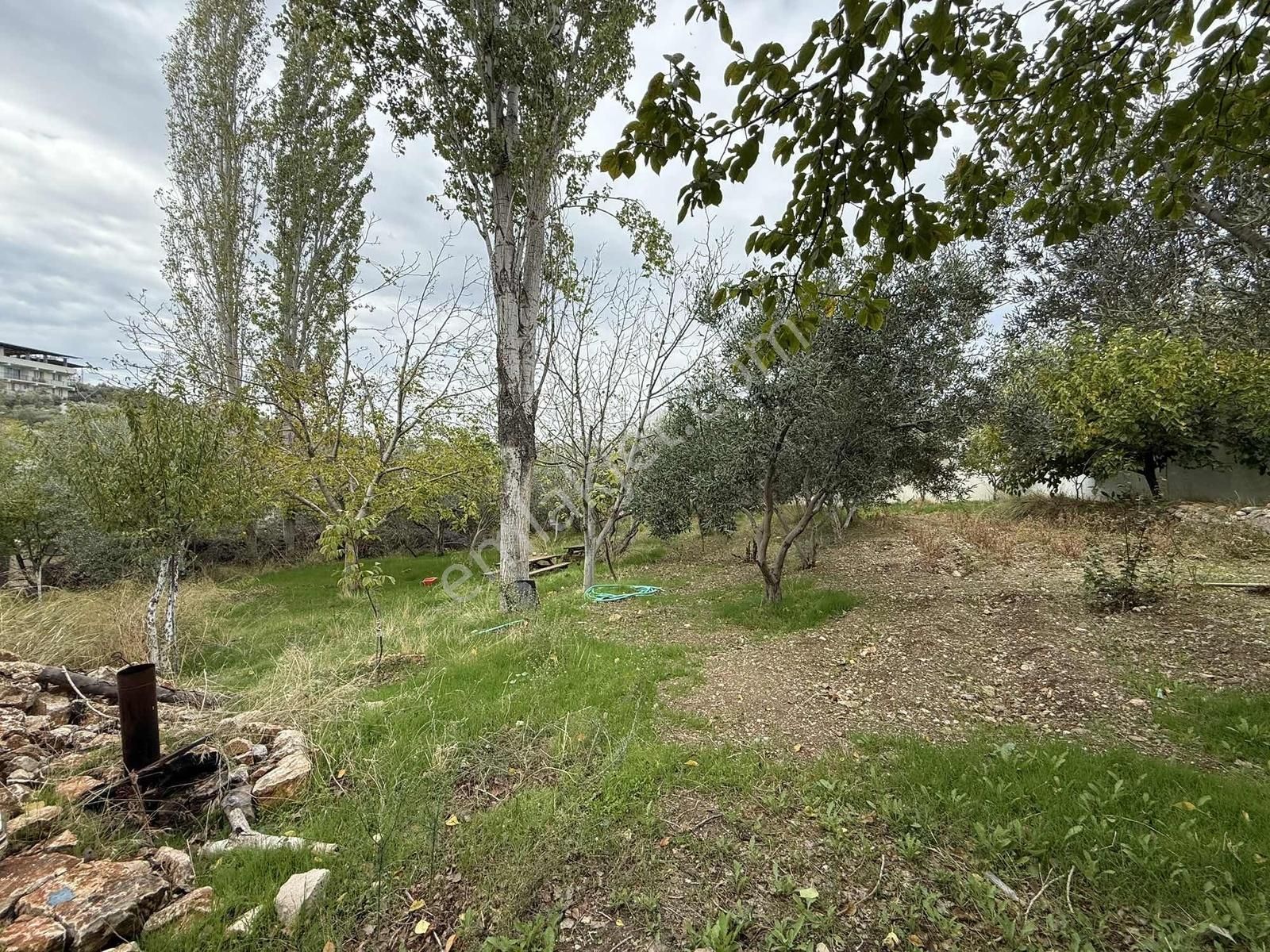 Güler'den Yatırımlık Bahçe - Görsel 9