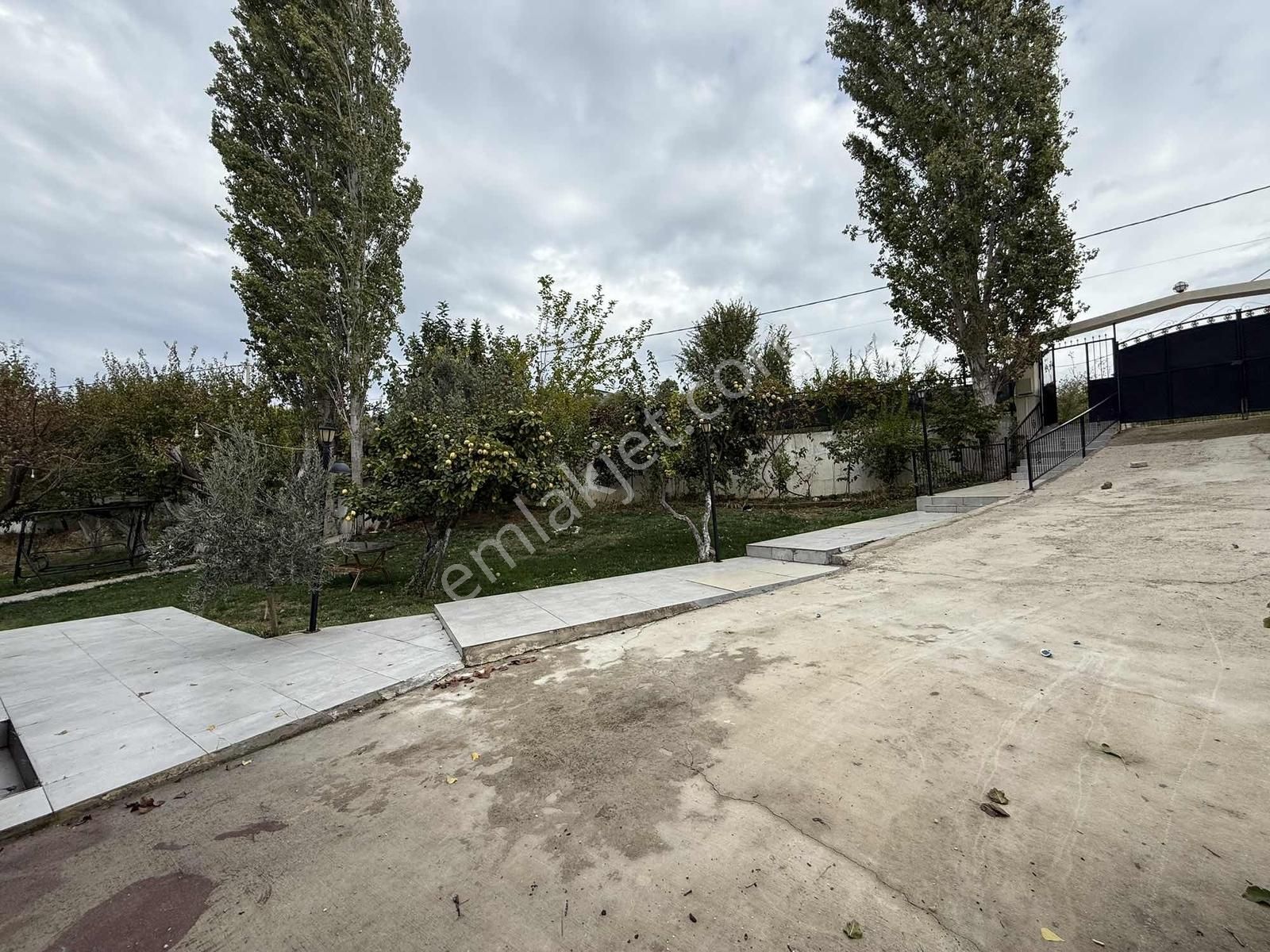 Güler'den Yatırımlık Bahçe - Görsel 3