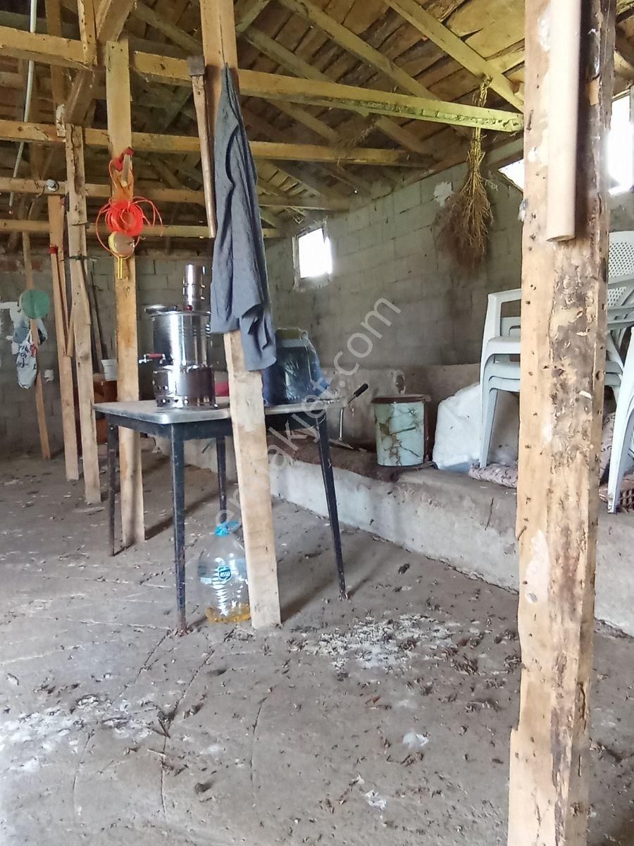 Emlakyap Tan Kırklareli Koyunbaba Da Kerpiç Köy Evi Ve Arsası - Görsel 6