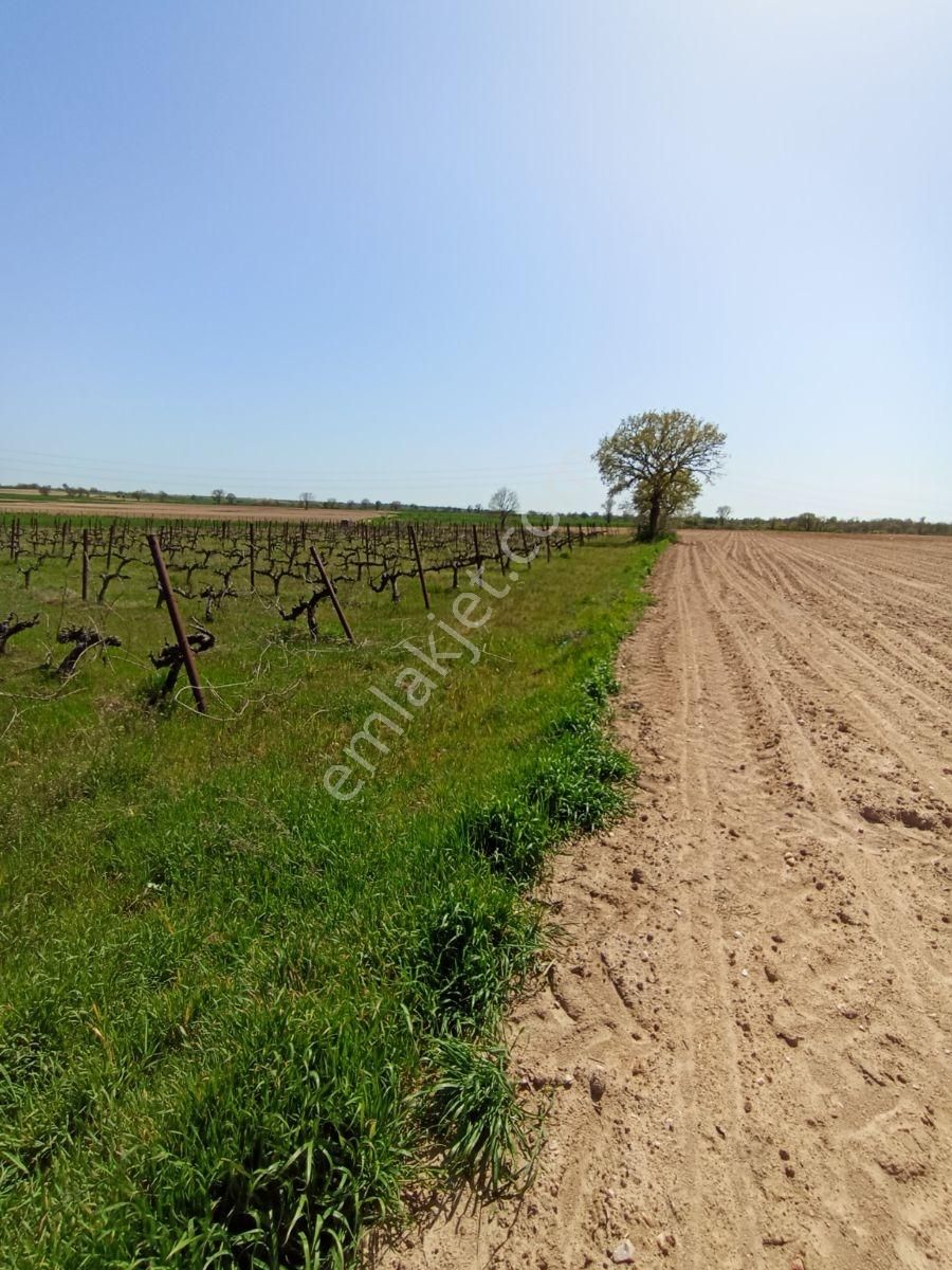 Emlakyap Tan Kırklareli Kızılcıkdere De Bağ Yeri - Görsel 18