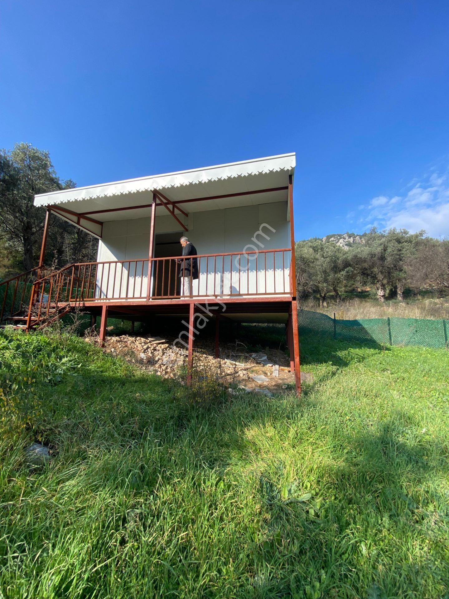 Bursa – Kestel / Narlıdere / Köyiçi Mevkii Satılık Zeytinlik