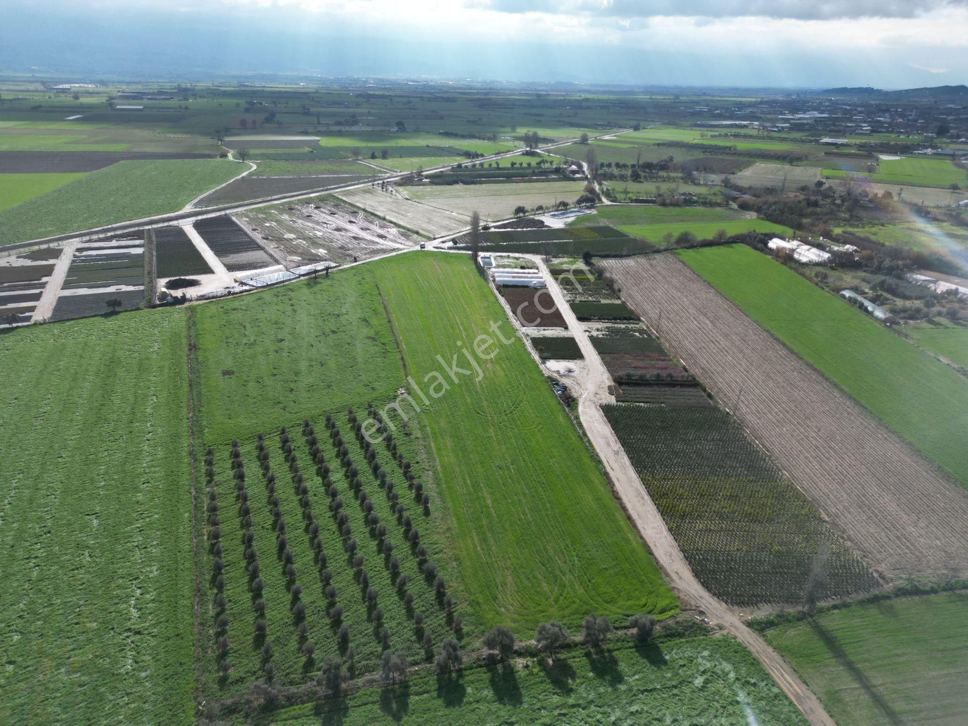 Antika Gayrimenkul'den Demircili Mahallesinde Satılık Tarla - Görsel 20