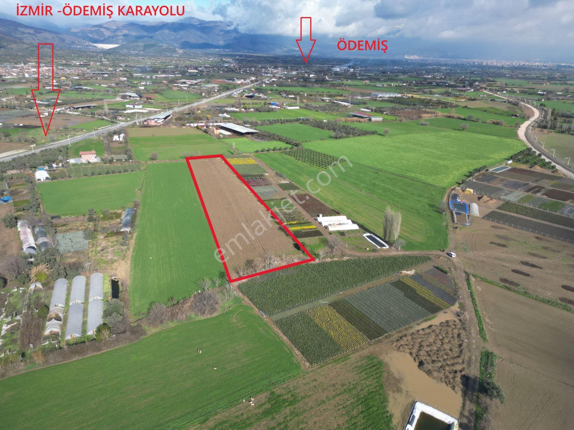 Antika Gayrimenkul'den Demircili Mahallesinde Satılık Tarla - Görsel 2