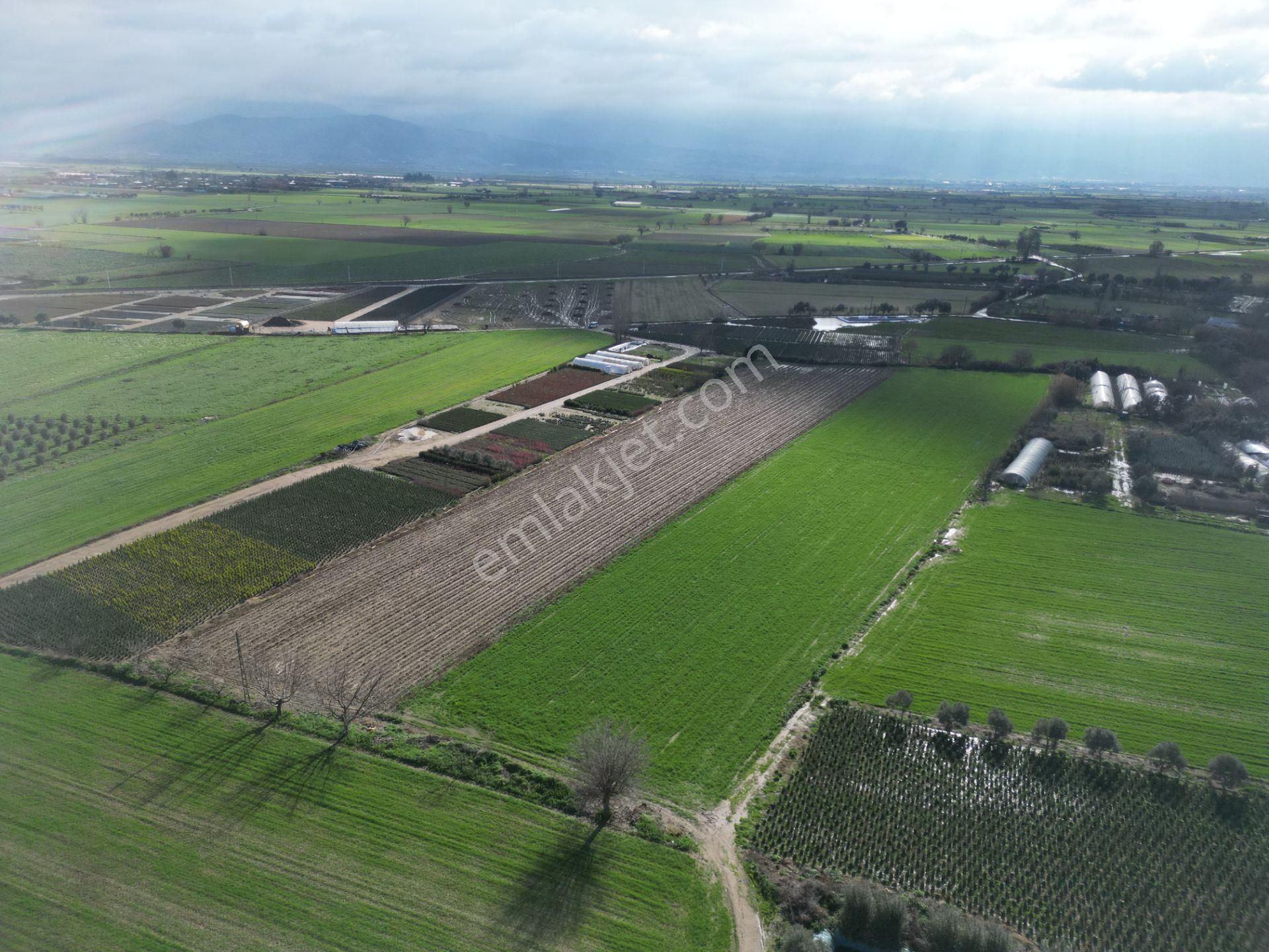 Antika Gayrimenkul'den Demircili Mahallesinde Satılık Tarla - Görsel 8