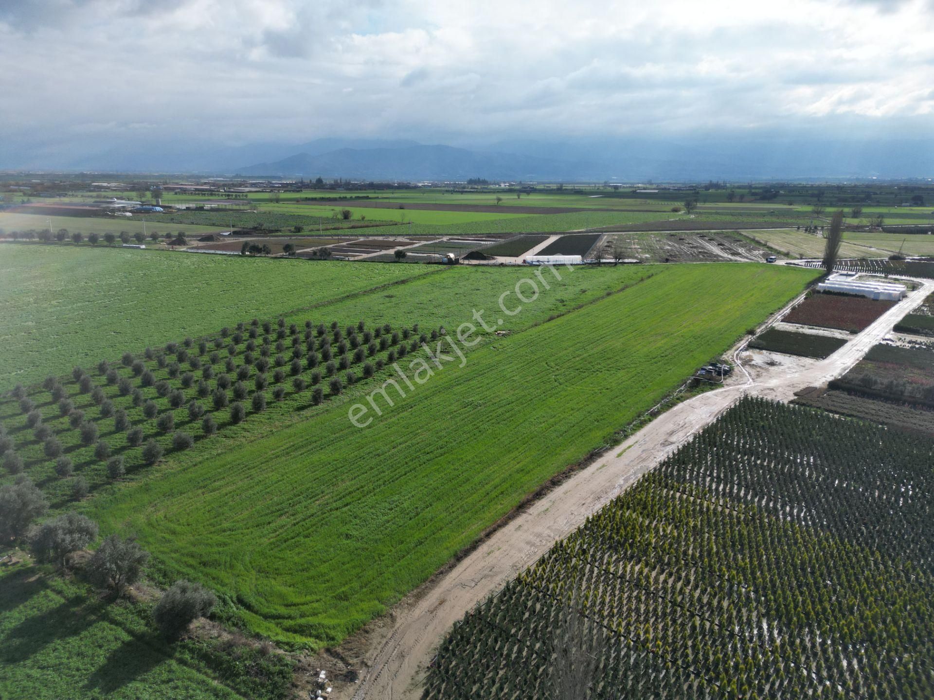 Antika Gayrimenkul'den Demircili Mahallesinde Satılık Tarla - Görsel 23