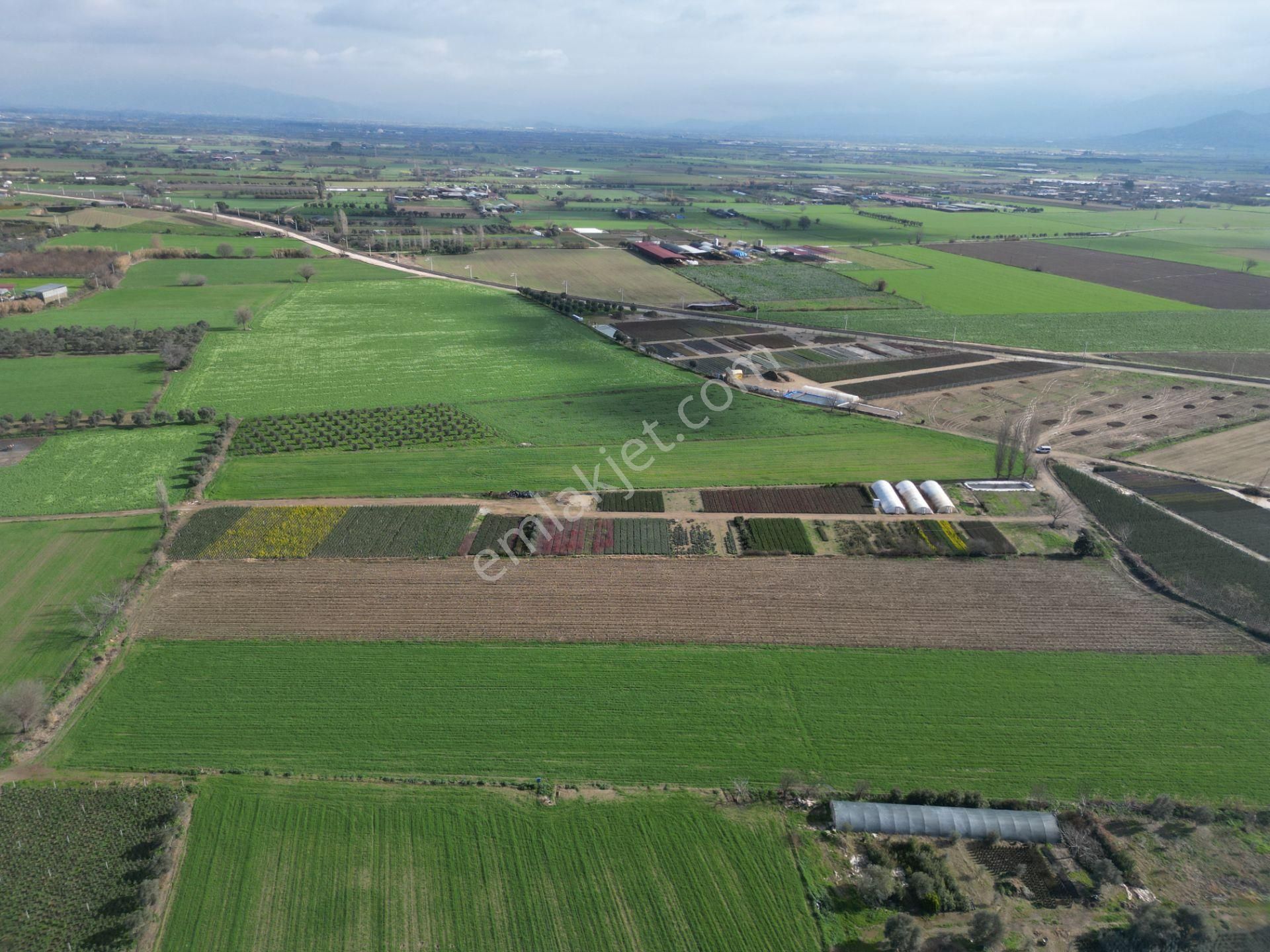 Antika Gayrimenkul'den Demircili Mahallesinde Satılık Tarla - Görsel 17
