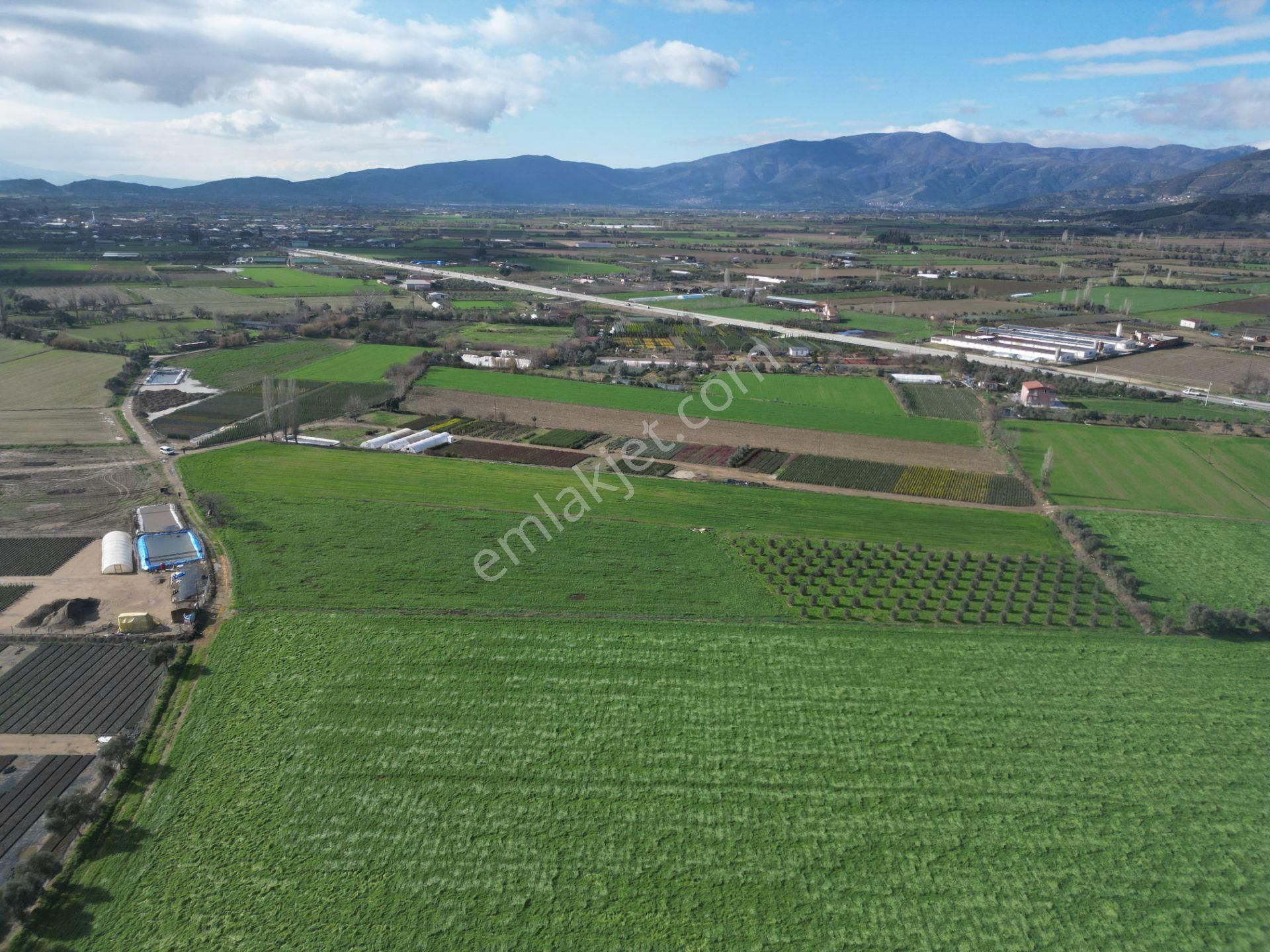 Antika Gayrimenkul'den Demircili Mahallesinde Satılık Tarla - Görsel 14